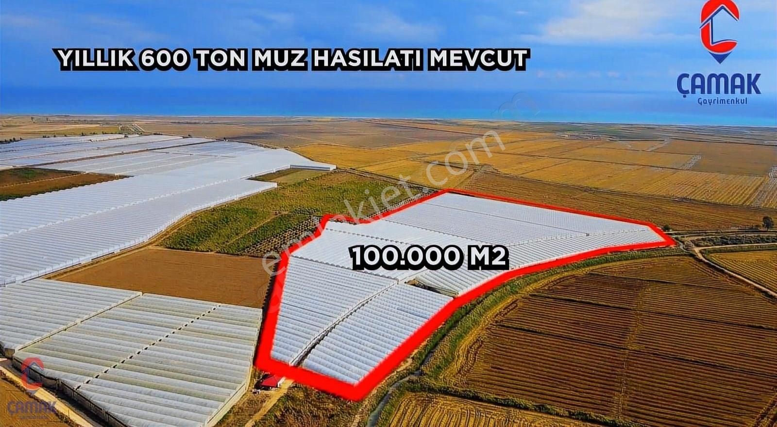 Silifke'de Satılık 110 Dönüm Muz Serası - Görsel 8