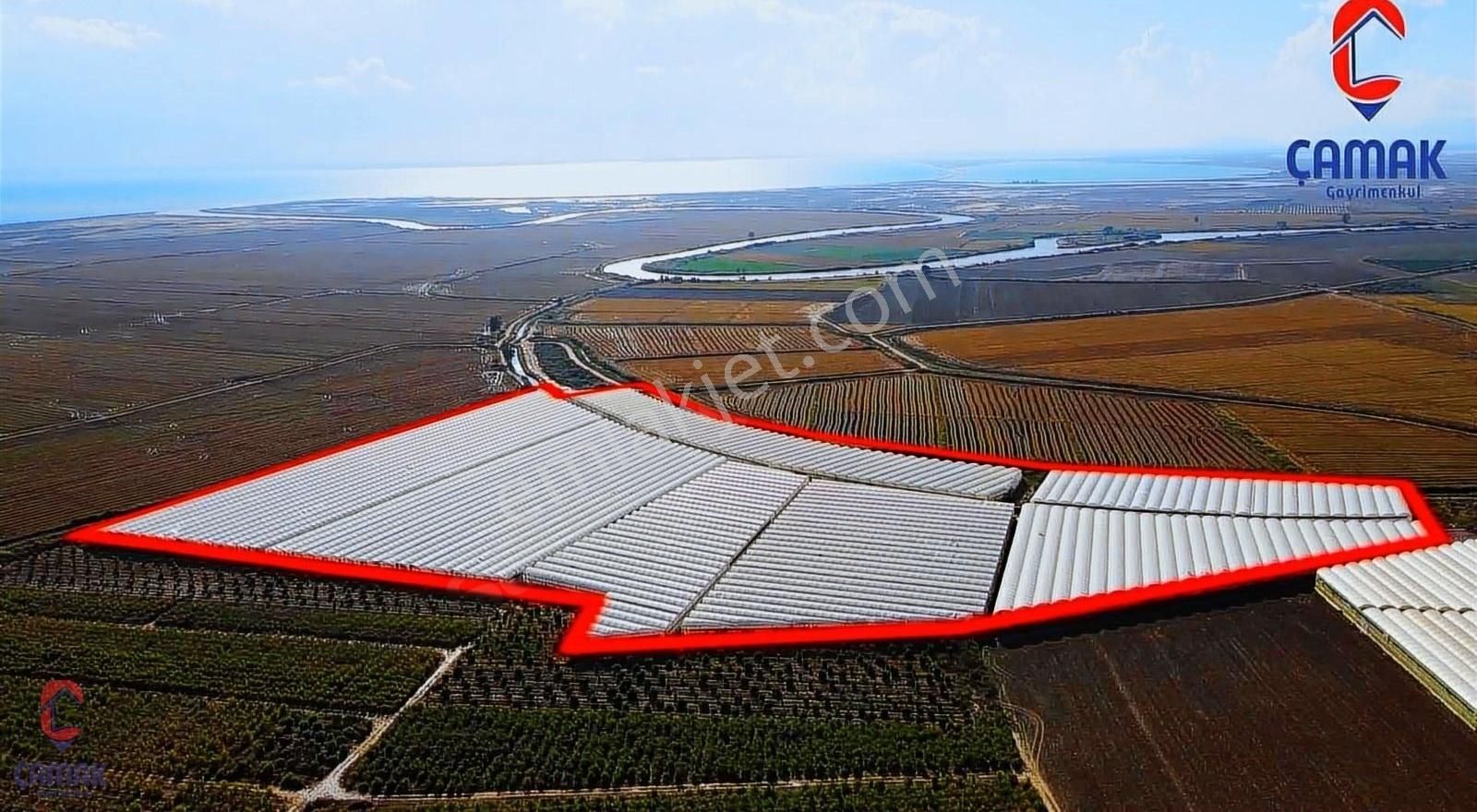 Silifke'de Satılık 110 Dönüm Muz Serası - Görsel 6