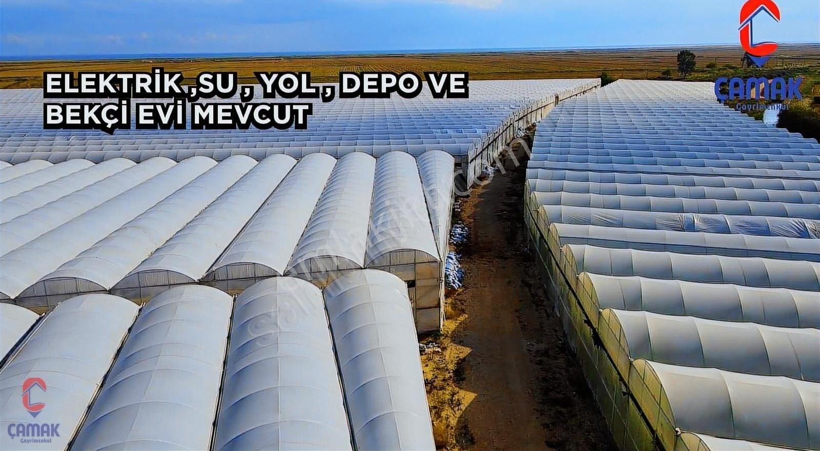 Silifke'de Satılık 110 Dönüm Muz Serası - Görsel 10