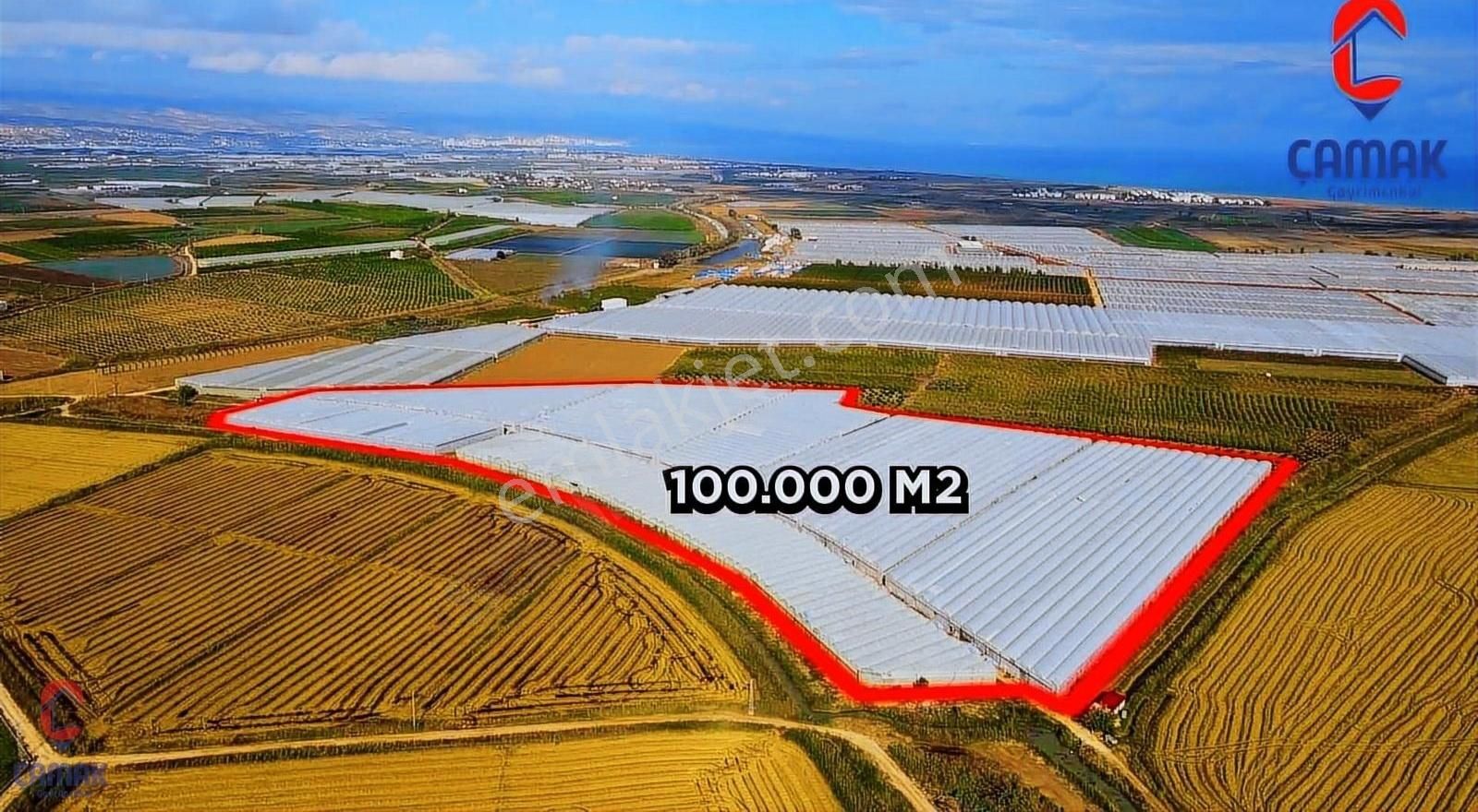 Silifke'de Satılık 110 Dönüm Muz Serası - Görsel 12