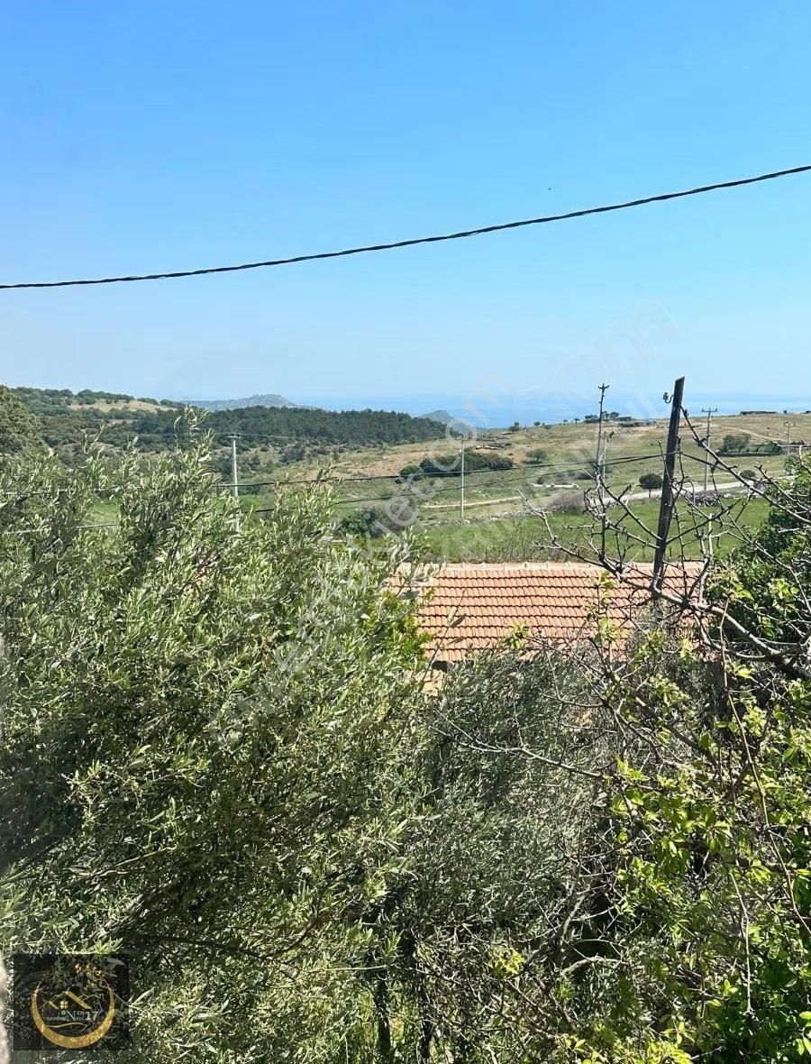 Çanakkale Ayvacık Koruoba Köyünde Satılıktaş Ev - Görsel 3