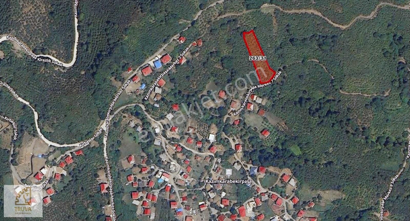Truva // Burak Korkmaz'dan Köy İçinde Fırsat Fındık Bahçesi - Görsel 4