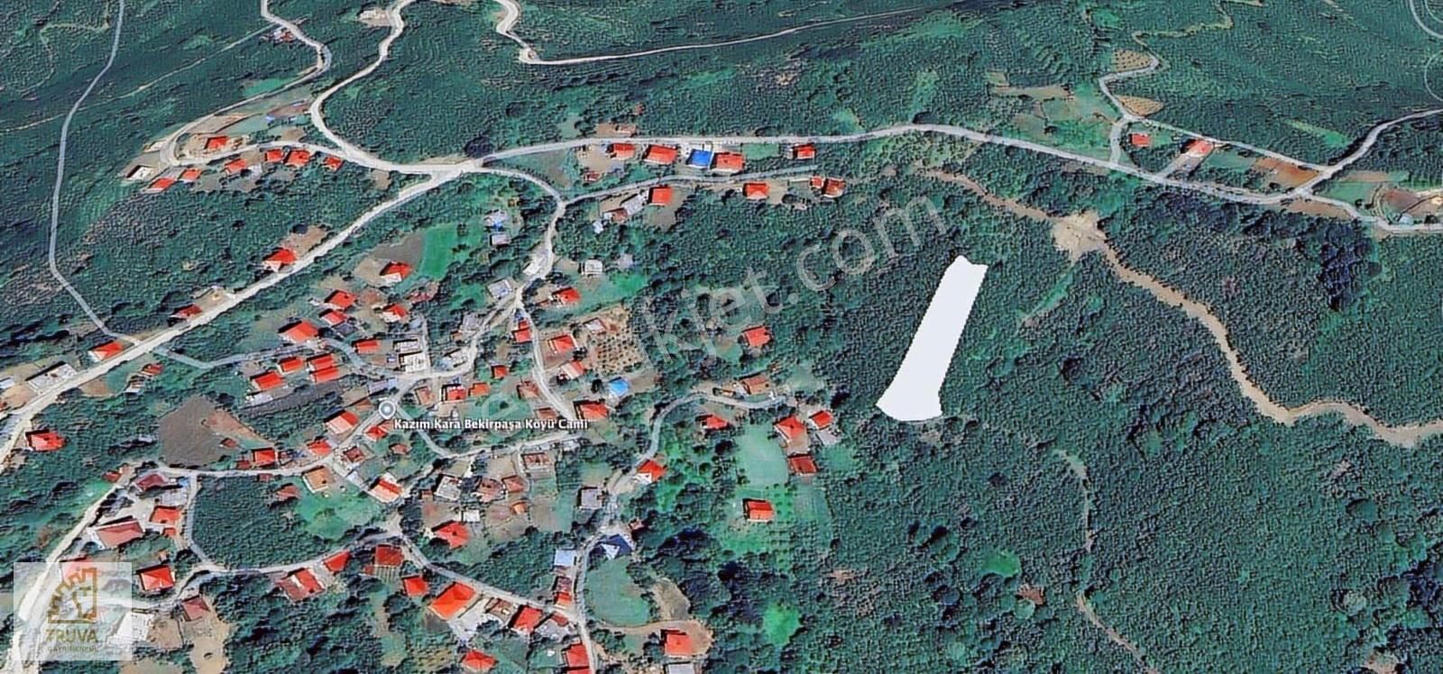 Truva // Burak Korkmaz'dan Köy İçinde Fırsat Fındık Bahçesi - Görsel 3