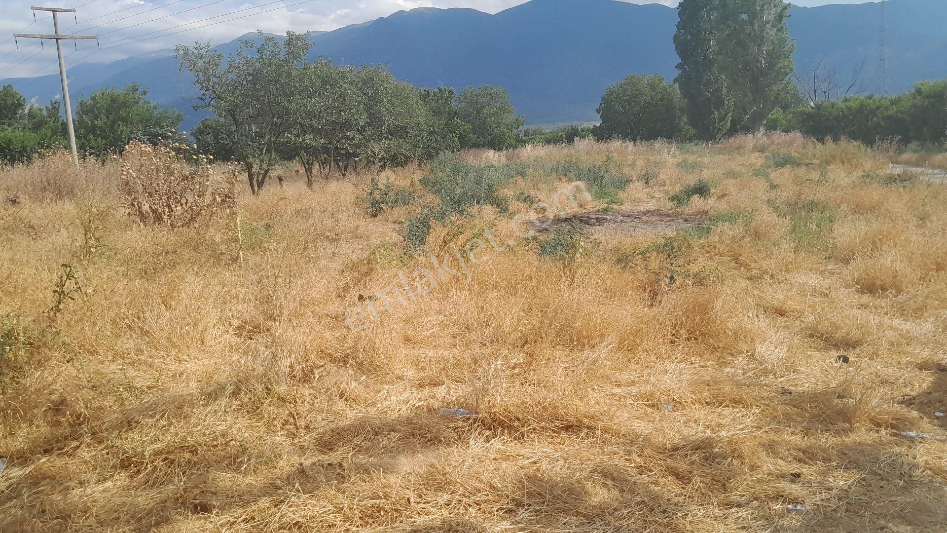 Yatırımlık Arsa - Görsel 2