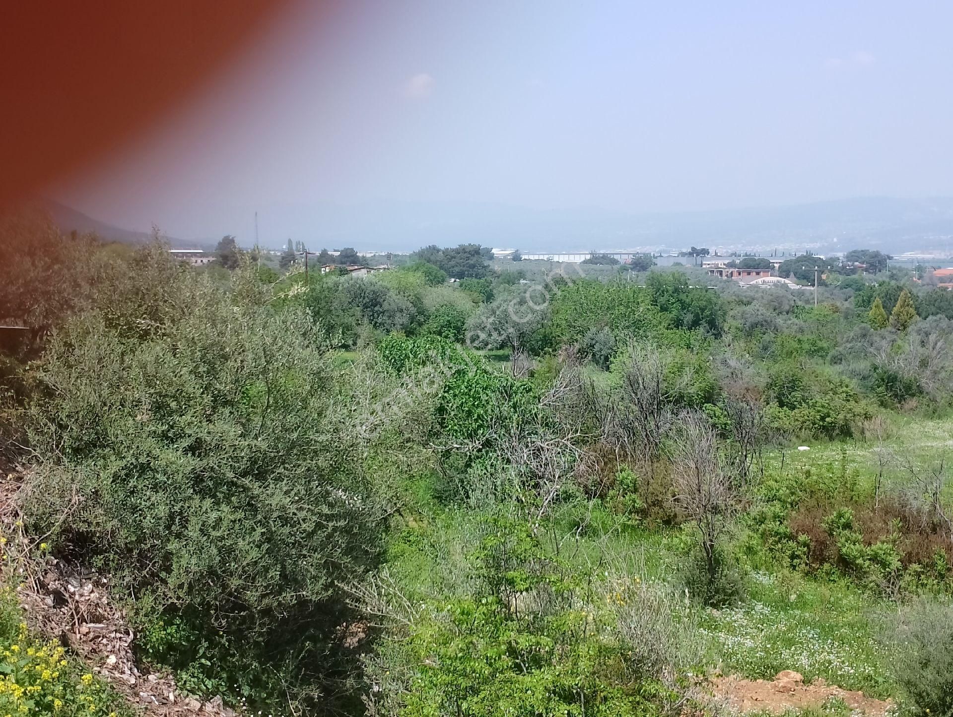 Çınarköy De Hisseli Ya Da Tamamı Satılık Villa İmarlı Arsa - Görsel 8
