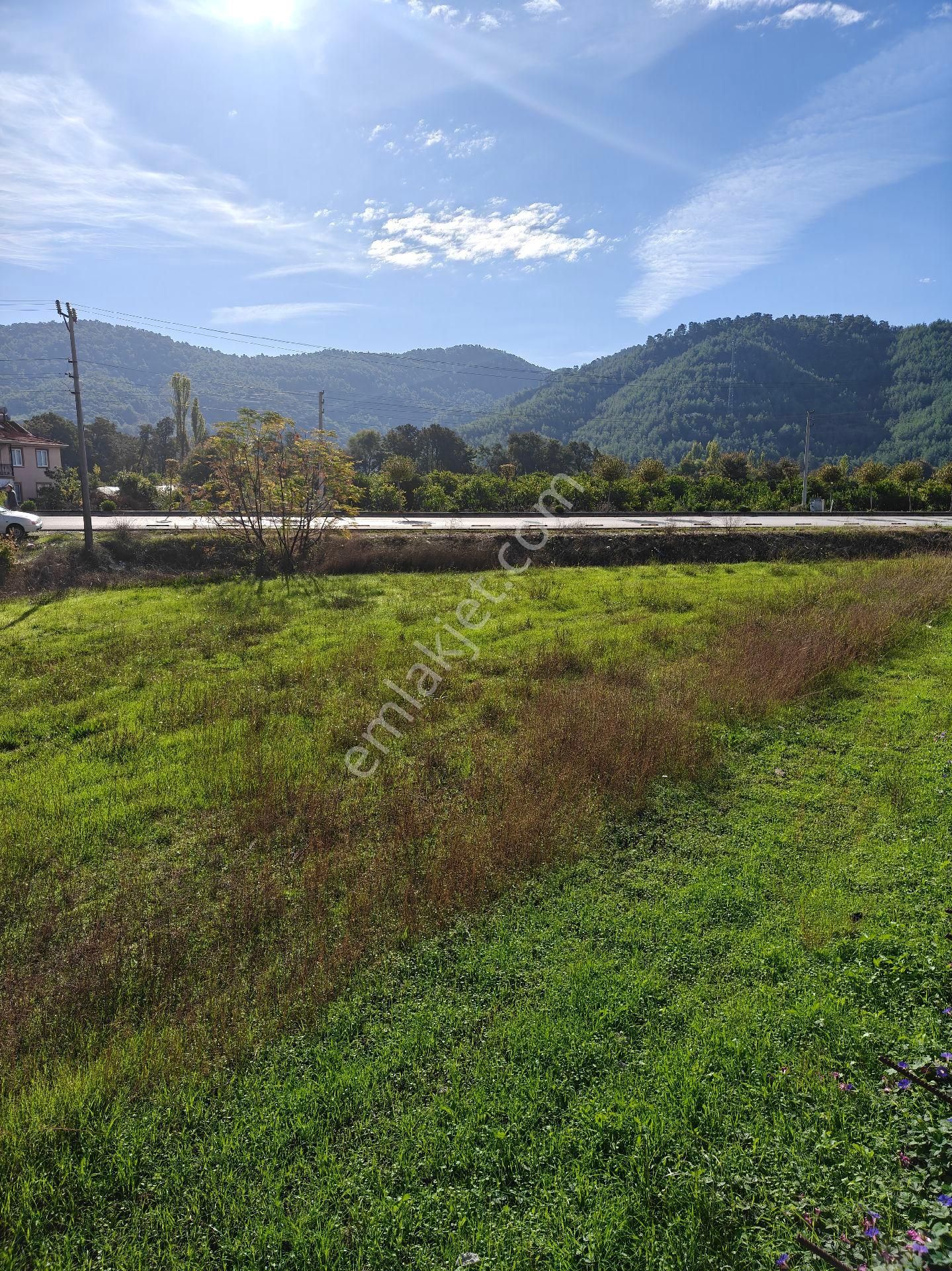 Muğla Ortaca Satılık Hisseli Bahçe - Görsel 4
