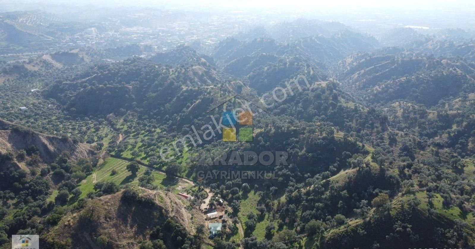 Aydın Nazilli İsabeyli Mahallesinde Satılık 3968 M² Zeytinlik - Görsel 11