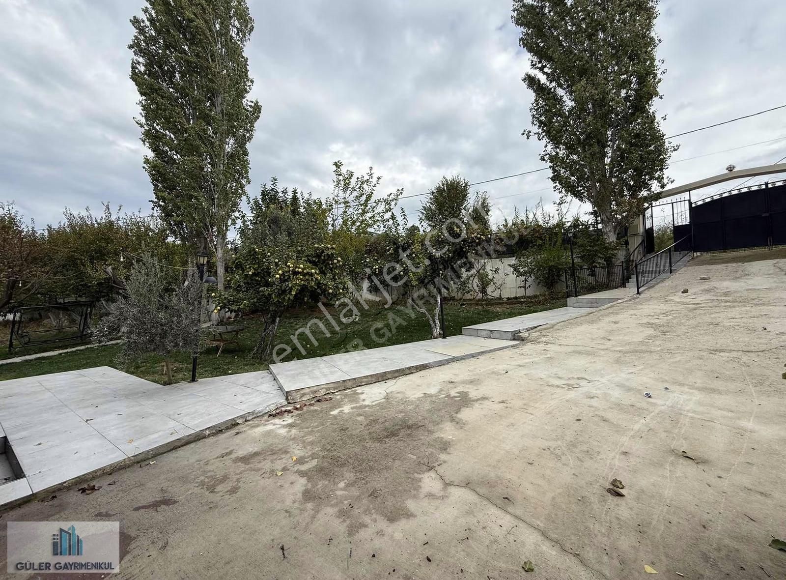 Güler'den Yatırımlık Bahçe - Görsel 15