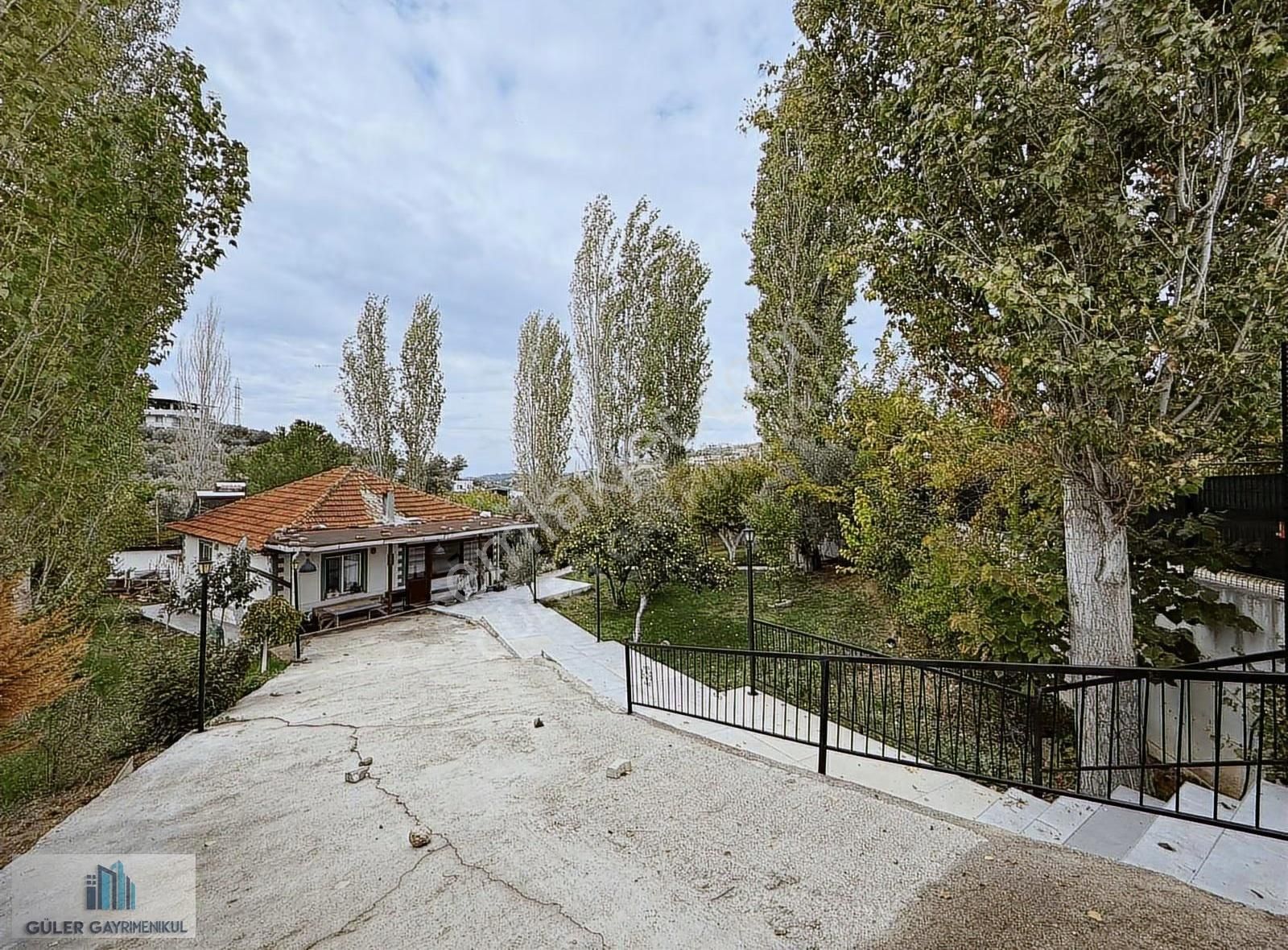 Güler'den Yatırımlık Bahçe - Görsel 2