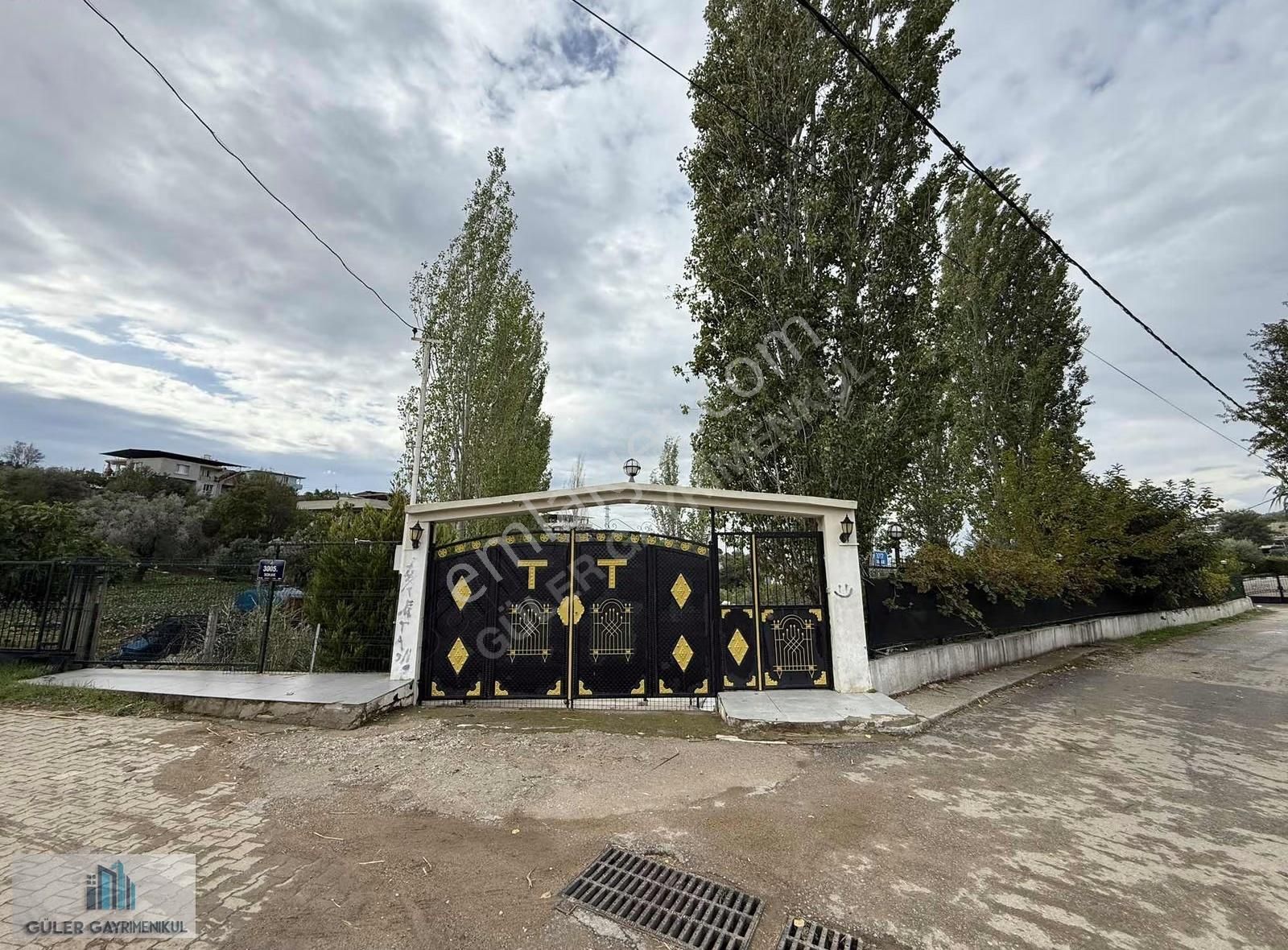 Güler'den Yatırımlık Bahçe - Görsel 3