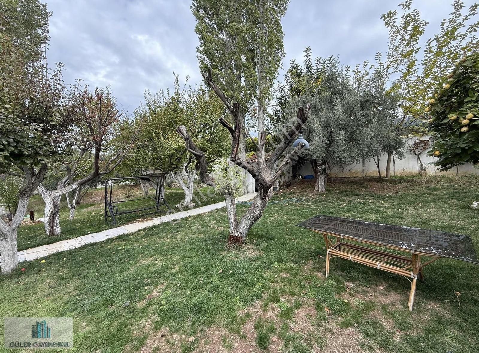 Güler'den Yatırımlık Bahçe - Görsel 13
