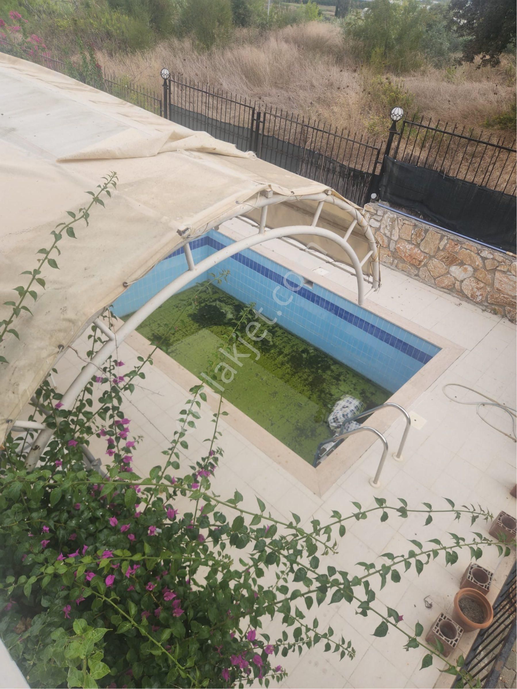 Sarılar Mahallesi’nde 5 + 1 Villamız Satılıktır Bir Dönüm Arsa İçerisinde - Görsel 9