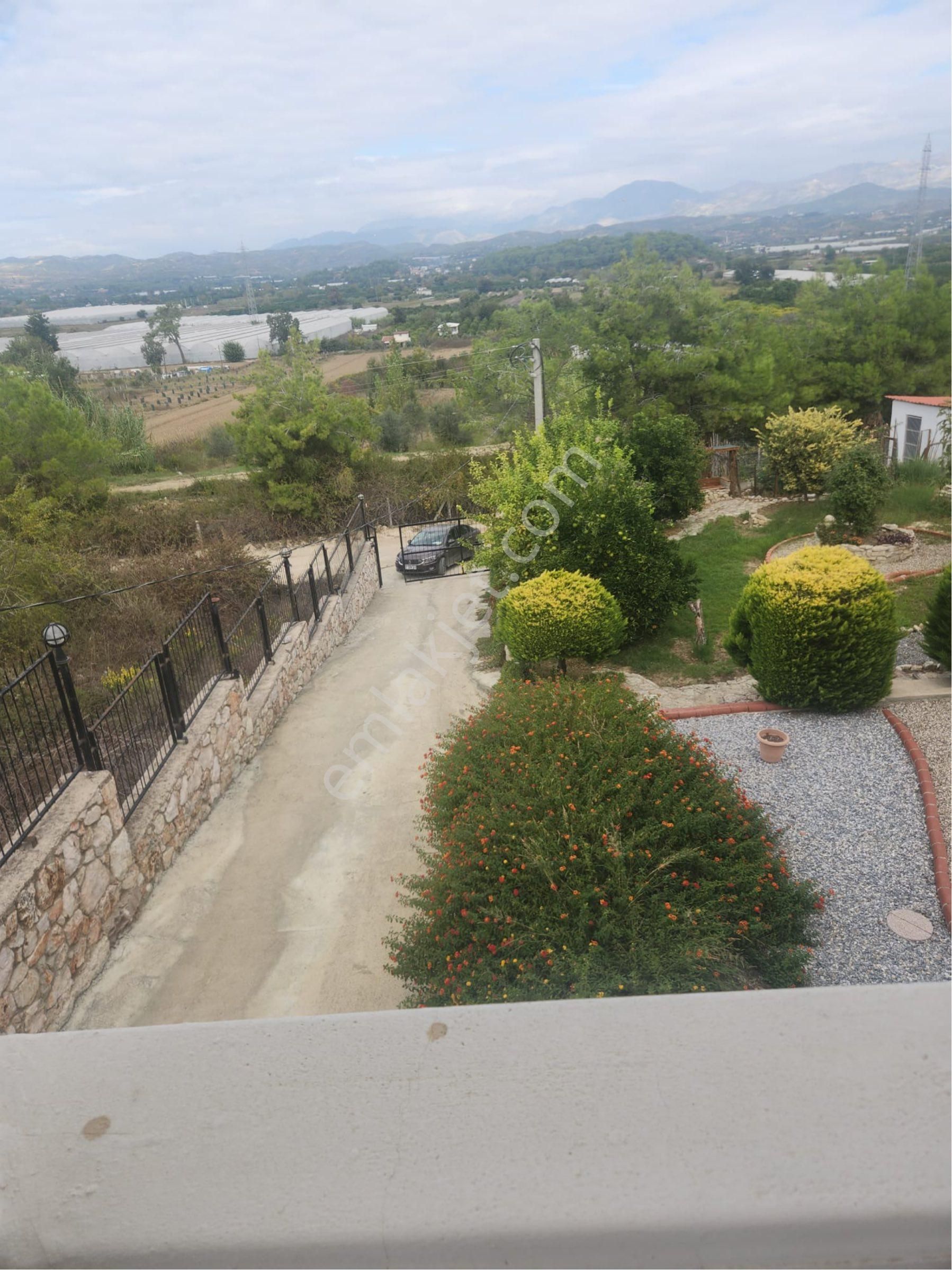 Sarılar Mahallesi’nde 5 + 1 Villamız Satılıktır Bir Dönüm Arsa İçerisinde - Görsel 12