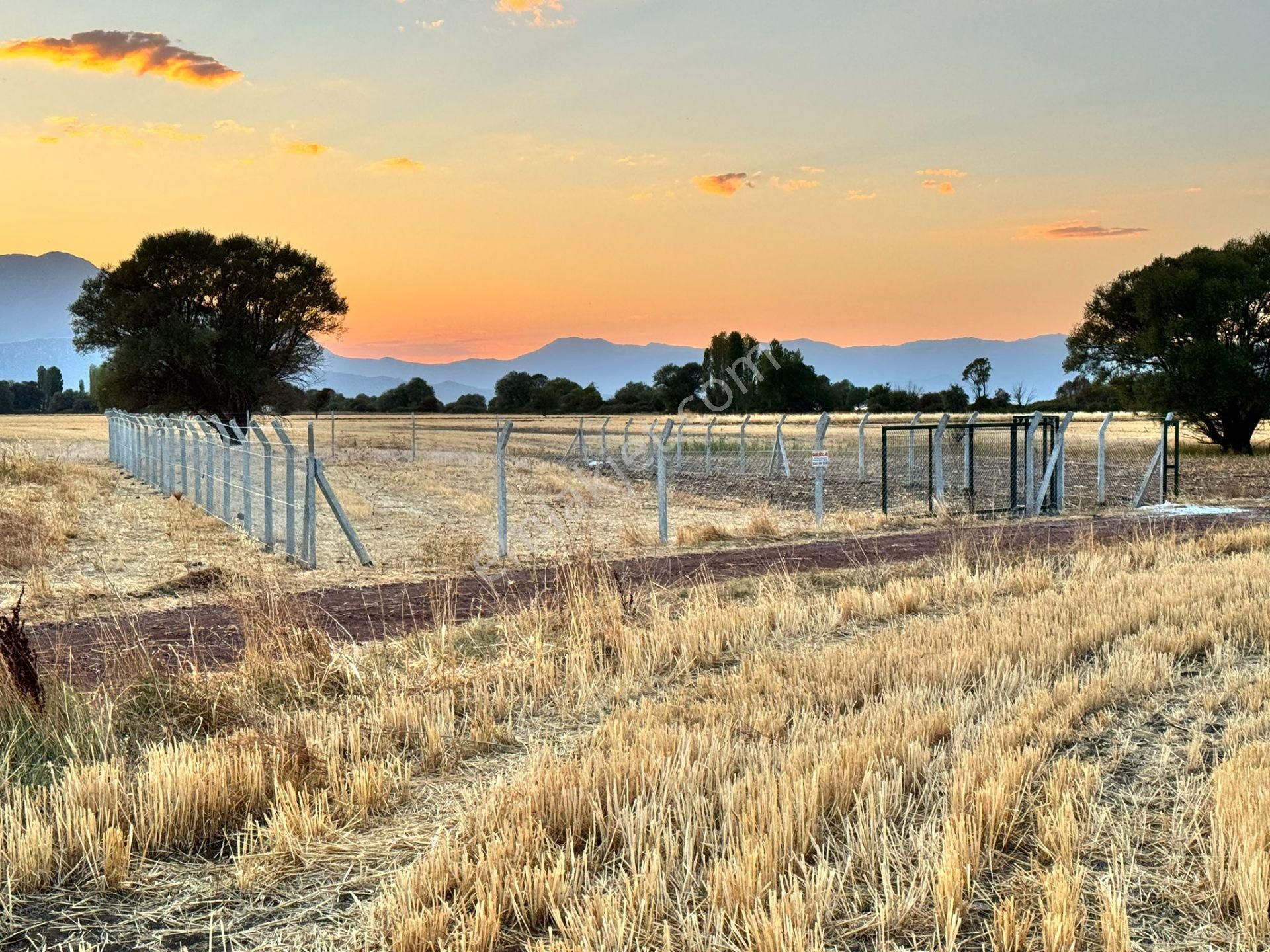 🌿 Beyşehir Üstünler’de Müstakil Tapulu 918 M² Satılık Bahçe 🌿 - Görsel 8