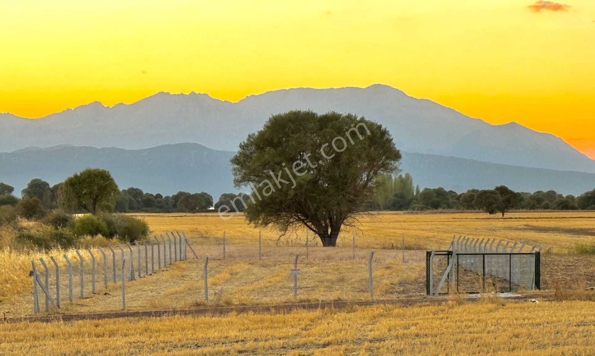 🌿 Beyşehir Üstünler’de Müstakil Tapulu 918 M² Satılık Bahçe 🌿 - Görsel 2