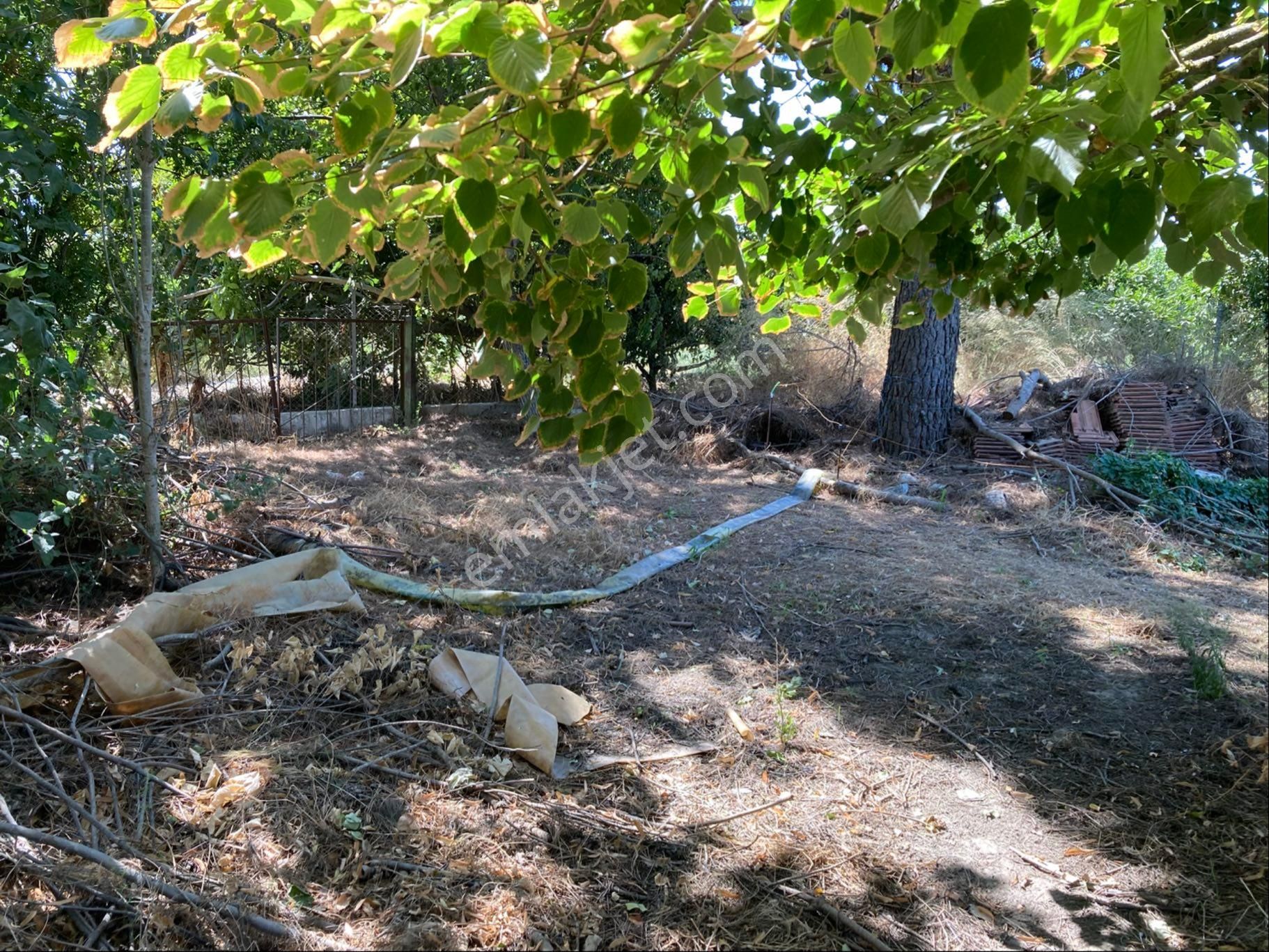 Genişletilebilir Satılık Bahçe – Yarısı Limon Bahçesi Yarısı Boş Ekilebilir Verimli Toprak - Görsel 3