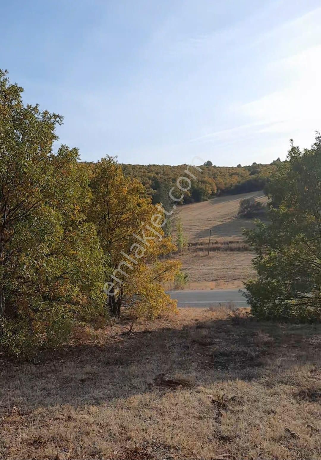 🌳 Derbent Çiftliközü’nde 1.752 M² Müstakil Tapulu Satılık Bahçe 🌳 - Görsel 6