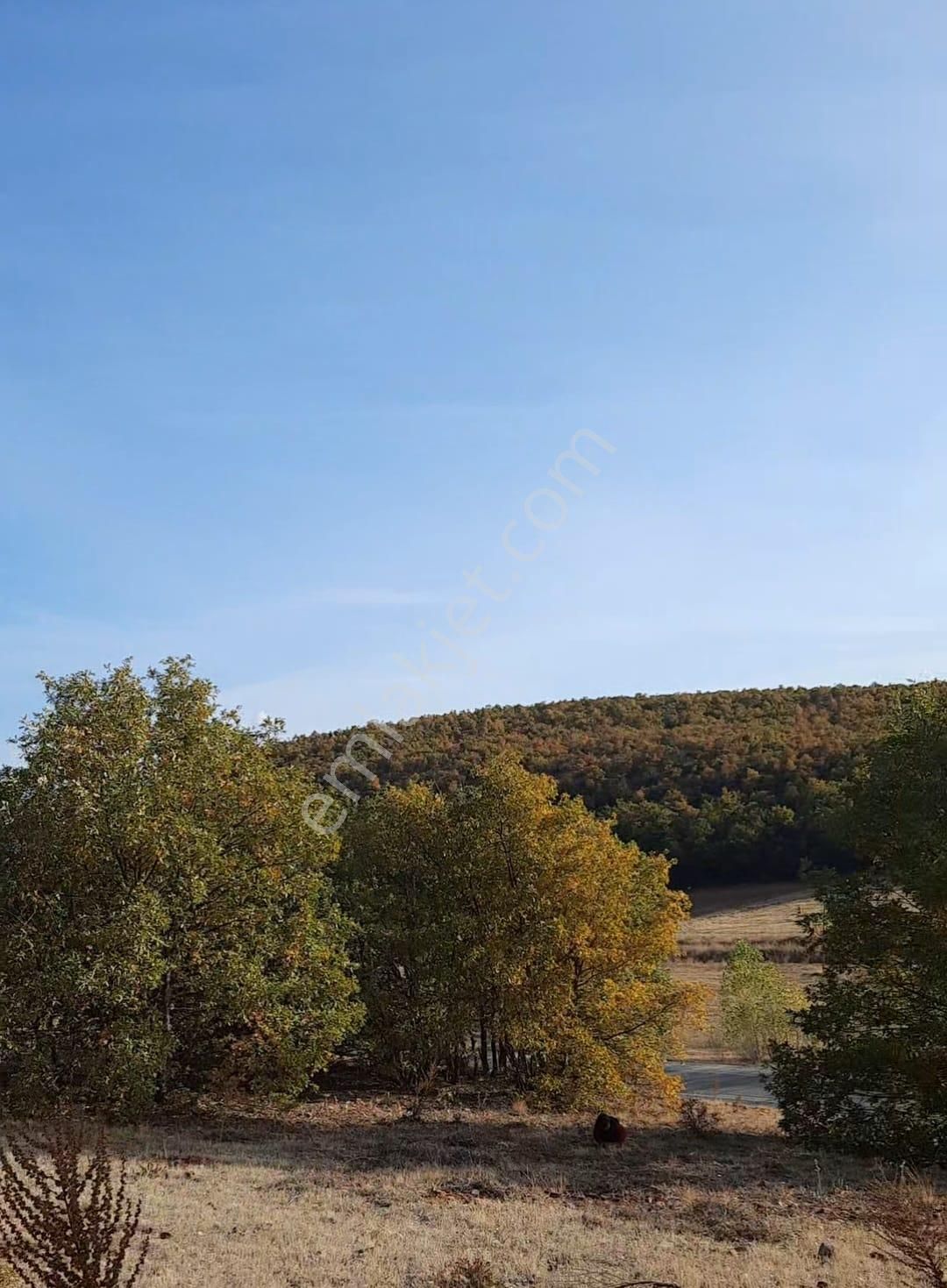 🌳 Derbent Çiftliközü’nde 1.752 M² Müstakil Tapulu Satılık Bahçe 🌳 - Görsel 4