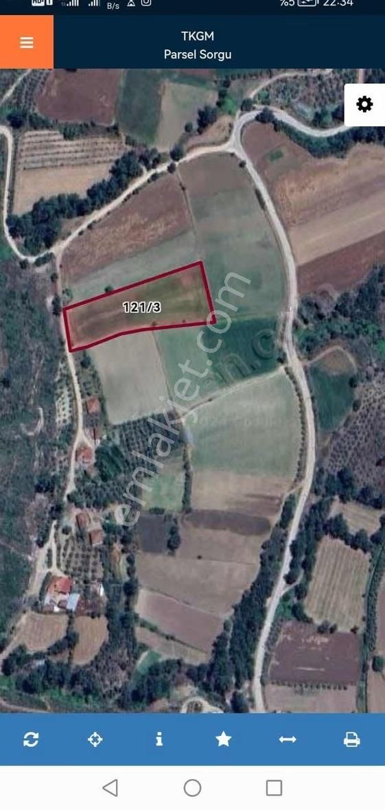 Menteşe Yörükoğlunda Proje Hazır 5.461 M² Yatırımlık Tarla - Görsel 5