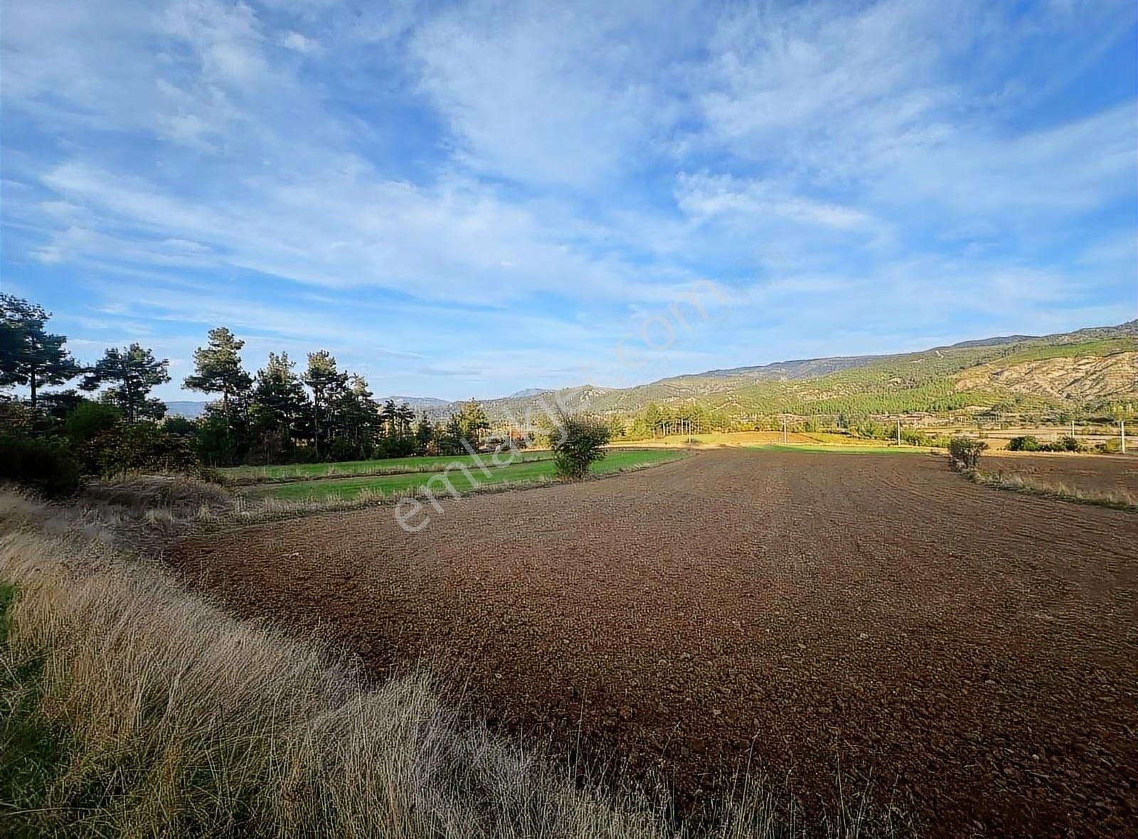 Menteşe Yörükoğlunda Proje Hazır 5.461 M² Yatırımlık Tarla - Görsel 16
