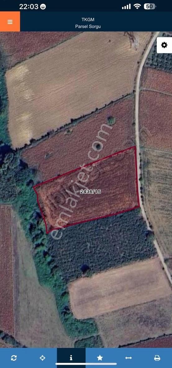 Sakarya Serdivan Beşevler Mahallesi Satılık Yol Kenarı Tarla - Görsel 13