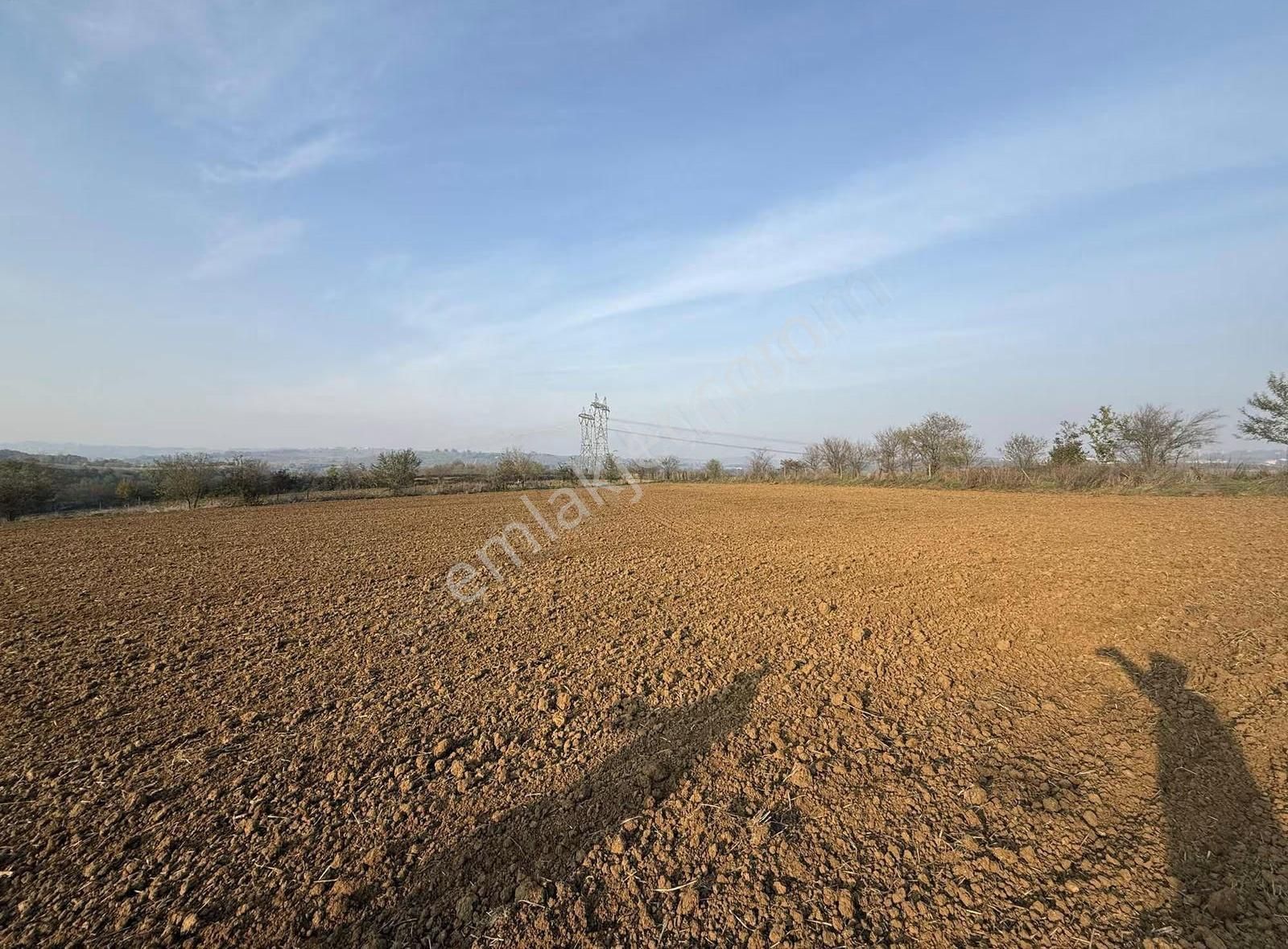 Sakarya Serdivan Beşevler Mahallesi Satılık Yol Kenarı Tarla - Görsel 5