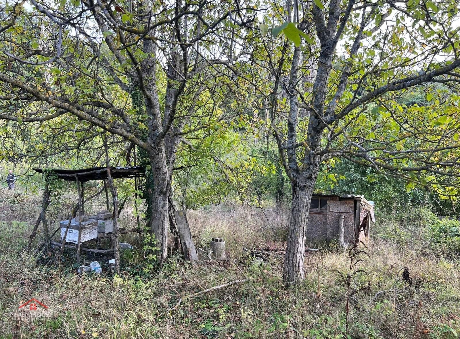 Gökçeören'de Satalık Hisseli Bahçe - Görsel 6