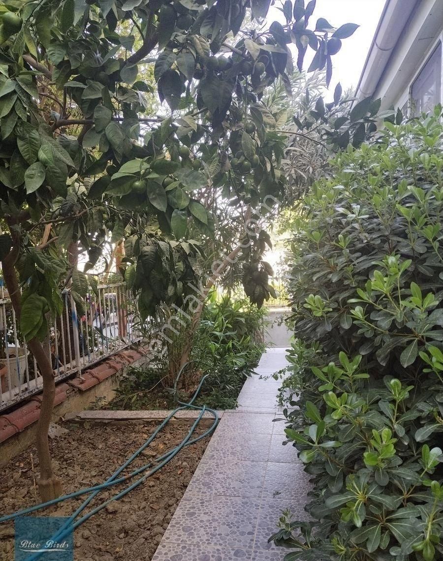 Kuşadası Satilik 4+1 Deniz Manzaralı Yazlik - Görsel 13