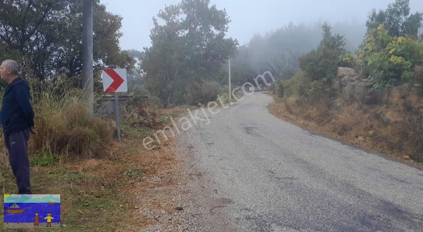 Muğla Kuyucakta Yola Cephe Arazi - Görsel 3