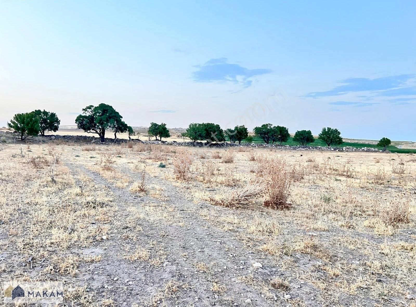 Meram Boyalı'da Müstakil Tapulu Satılık 12.269m2 Bahçe - Görsel 7