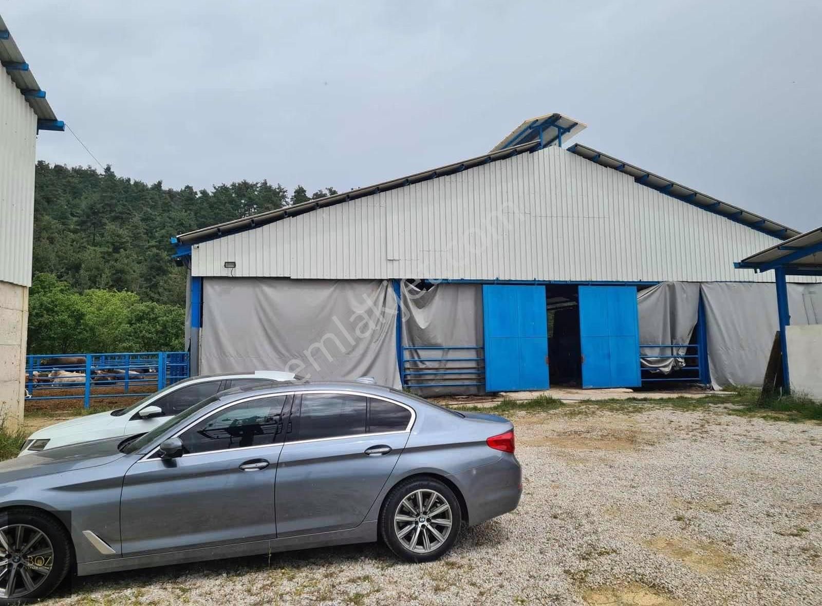 250 Hayvan Kapasiteli Satılık Çiftlik. - Görsel 3