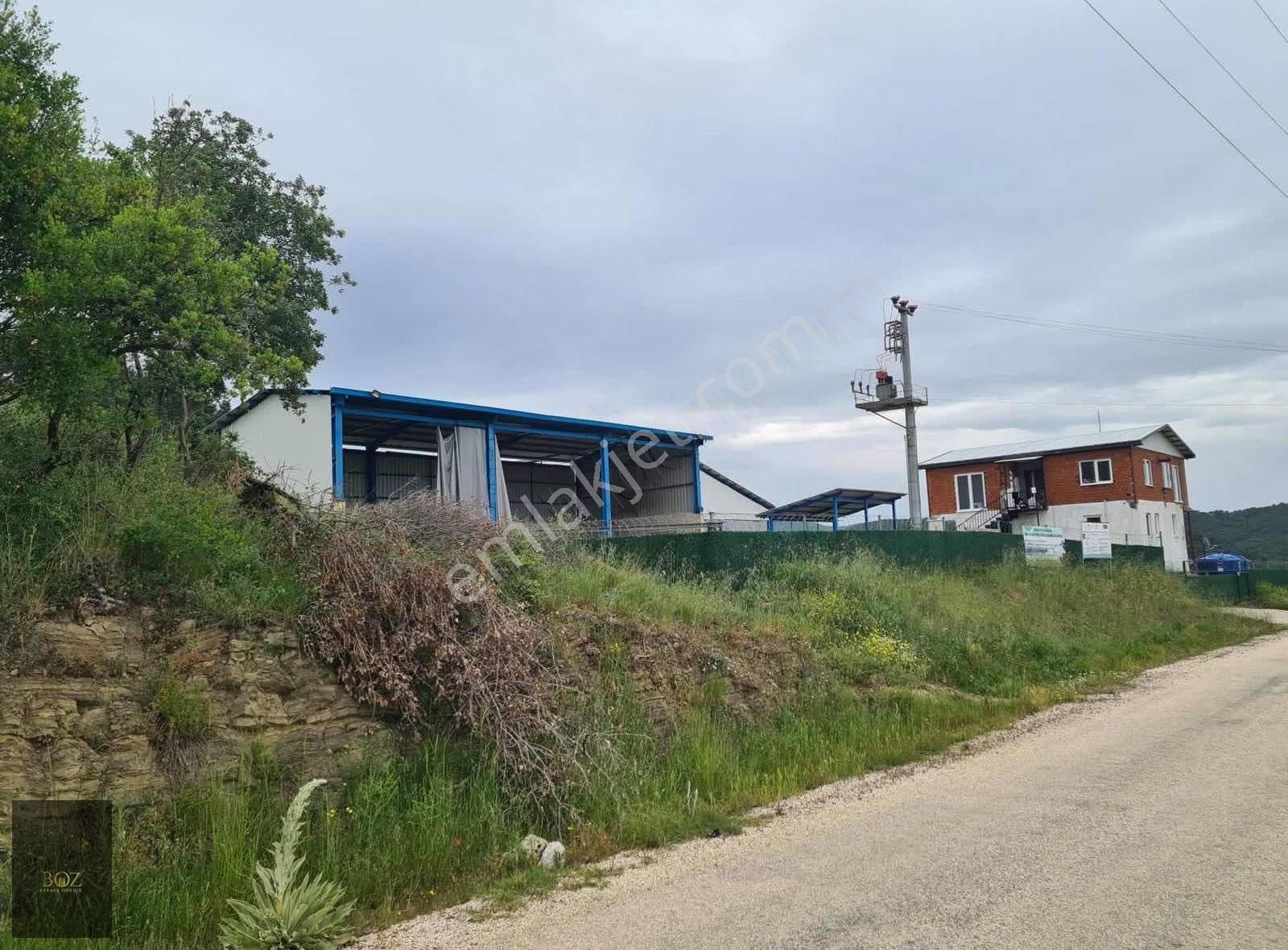 250 Hayvan Kapasiteli Satılık Çiftlik. - Görsel 11