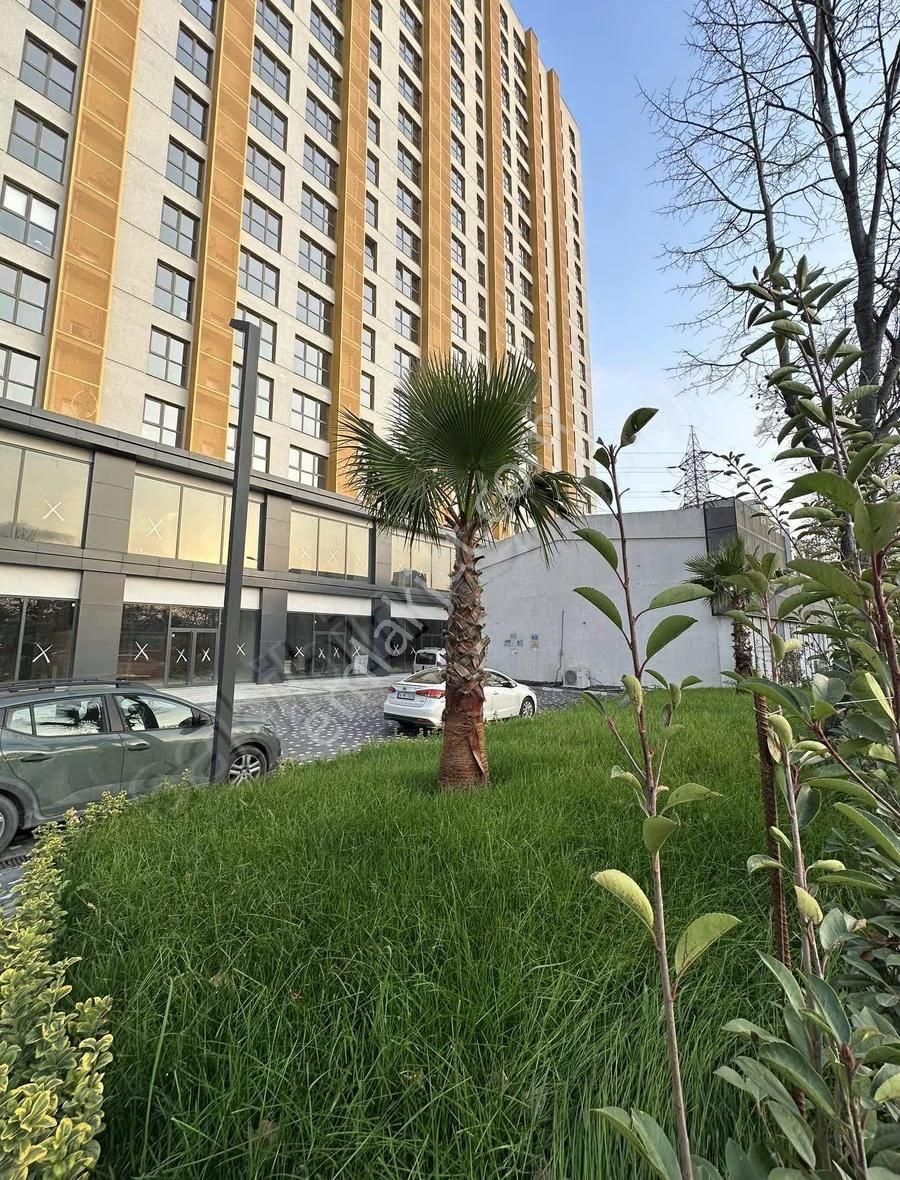 Flat 24 De Sıfır Kiralık 1+1 Daire