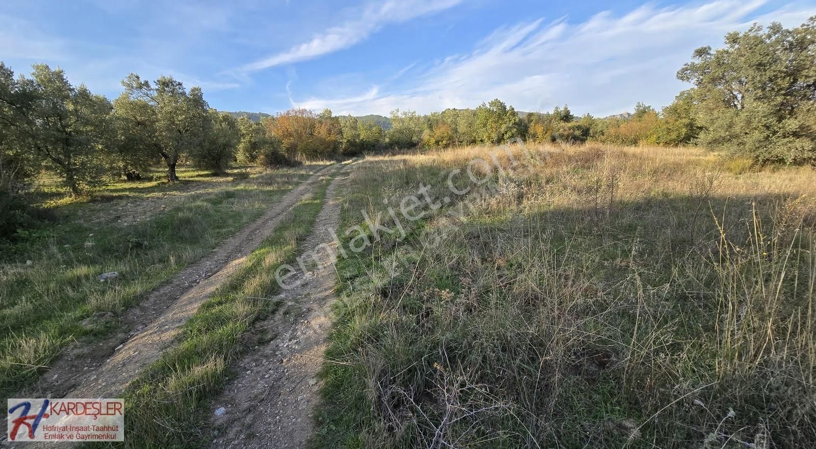 Pamukova Şeyhvarmaz Mah Resmi Yola Cephe Manzaralı Verimli Arazi - Görsel 18