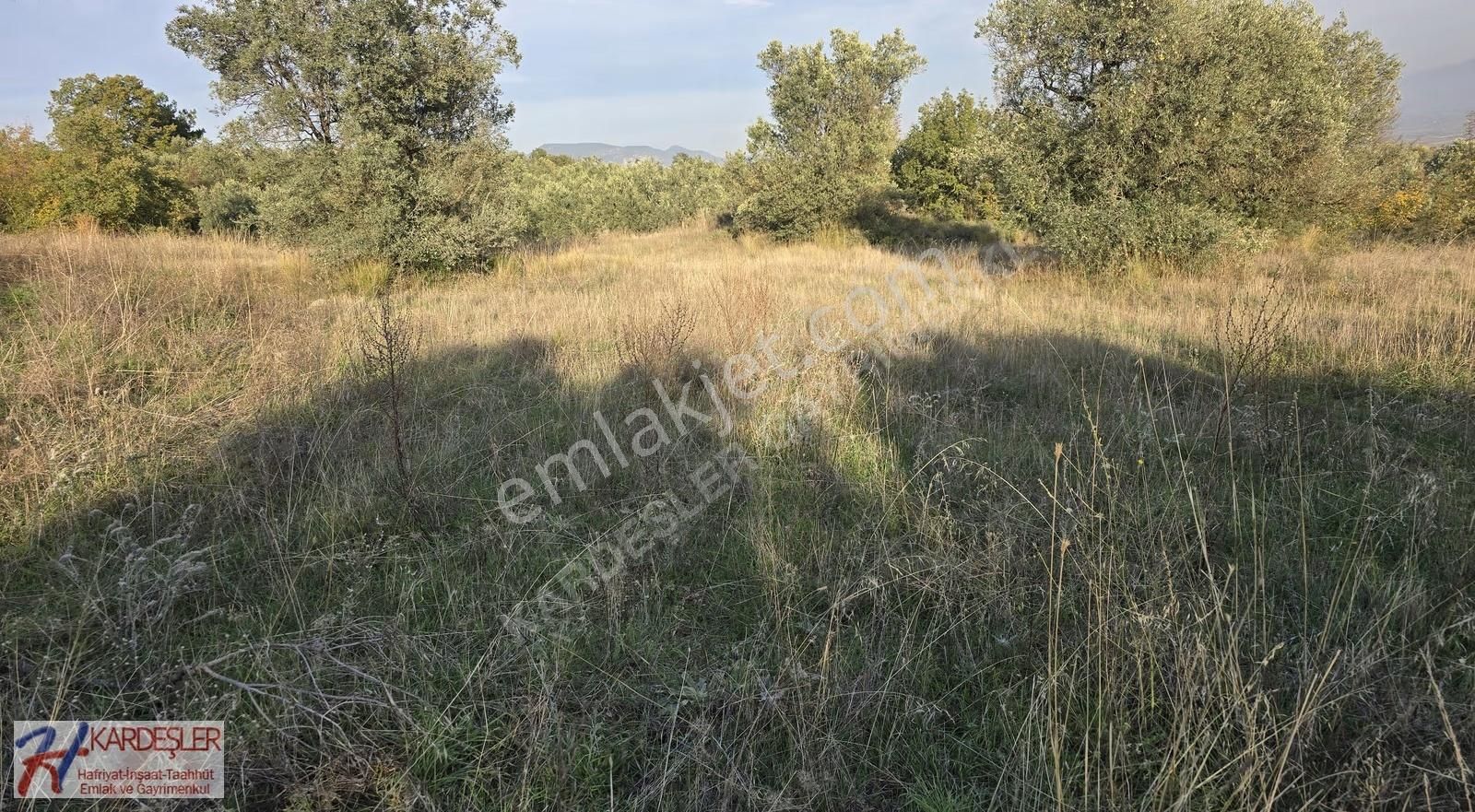 Pamukova Şeyhvarmaz Mah Resmi Yola Cephe Manzaralı Verimli Arazi - Görsel 5