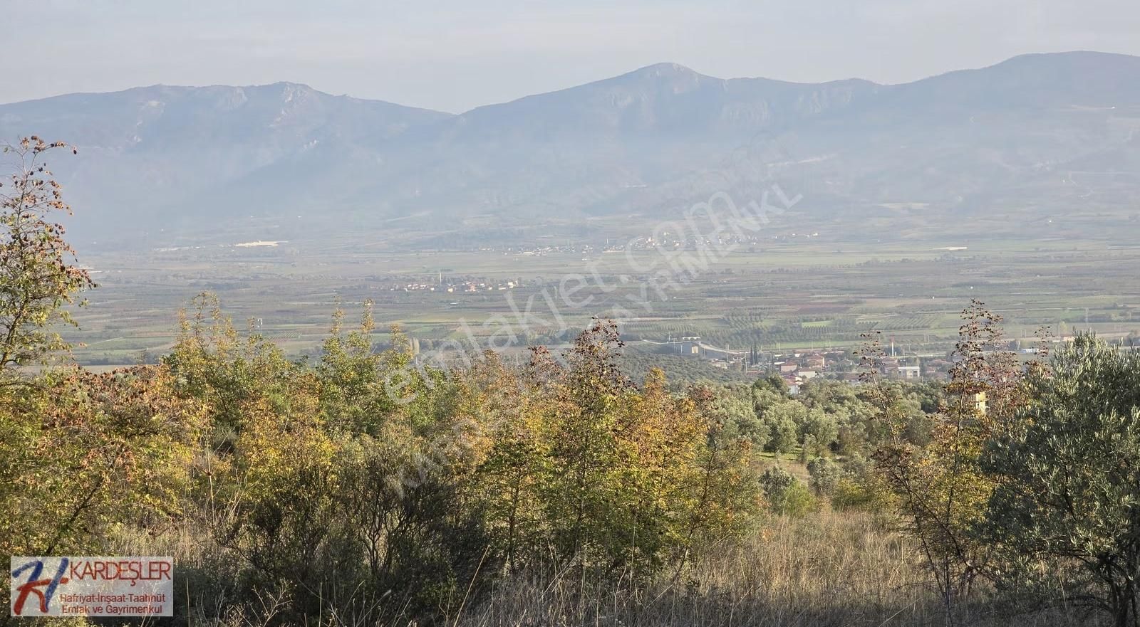 Pamukova Şeyhvarmaz Mah Resmi Yola Cephe Manzaralı Verimli Arazi - Görsel 10