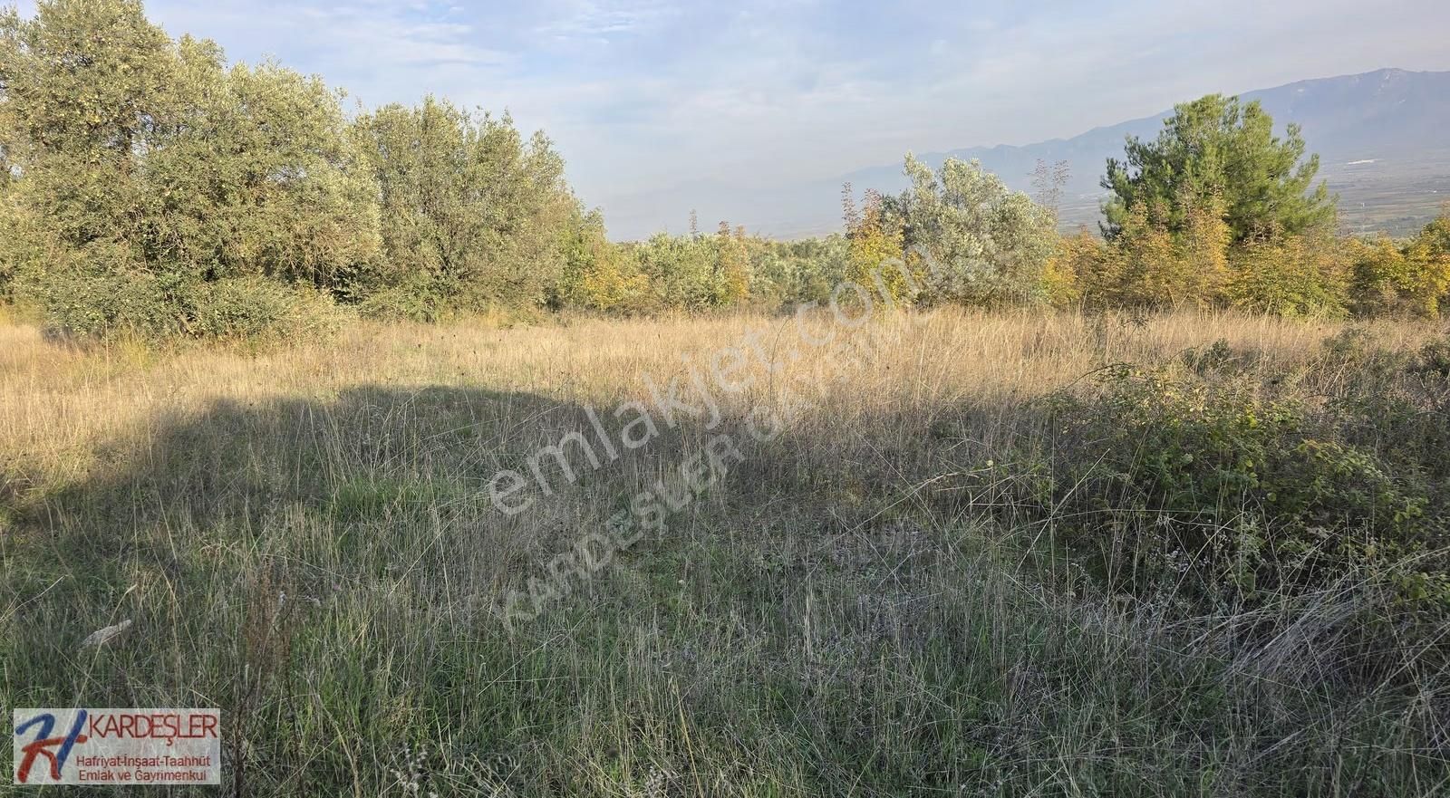 Pamukova Şeyhvarmaz Mah Resmi Yola Cephe Manzaralı Verimli Arazi - Görsel 23