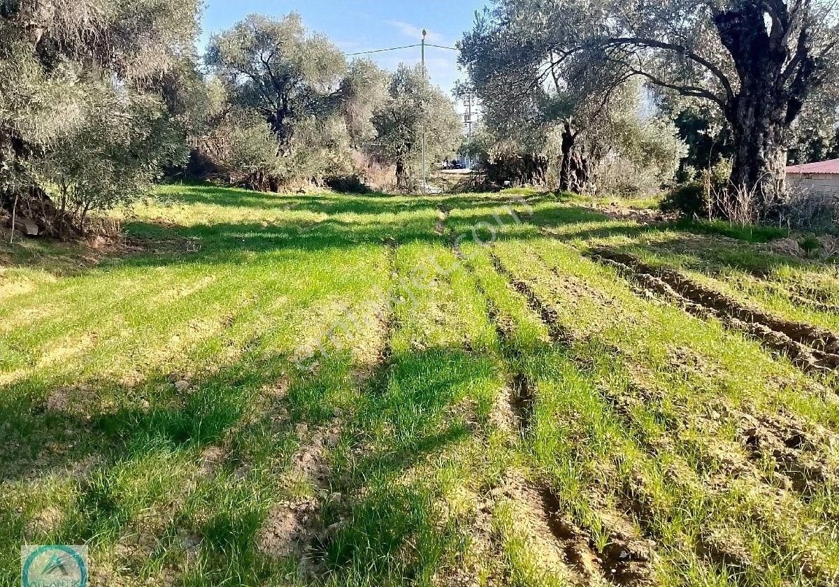Atlantik Gayrimenkul Den Satılık İmarlı Arazi - Görsel 9