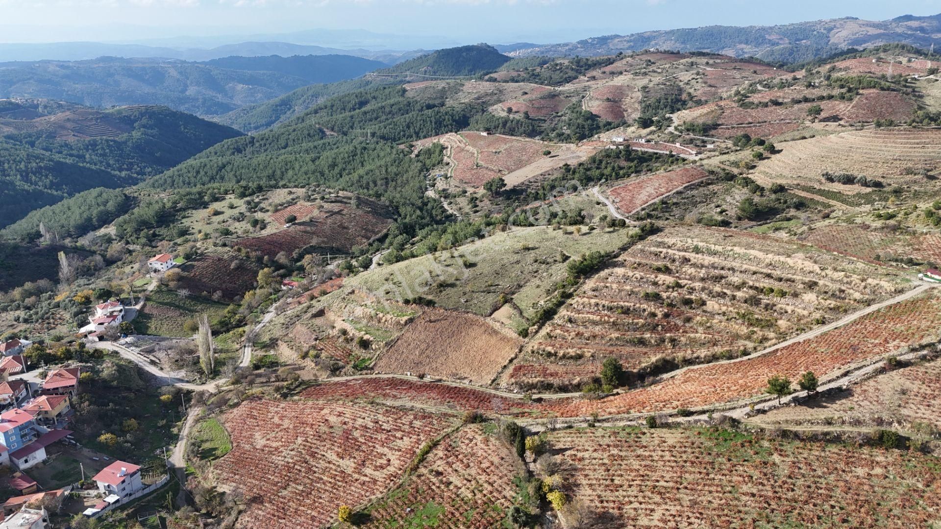 Deniz Manzaralı İzmir Menderes Efemçukurunda 1420 M2 Konut İmarlı - Görsel 19