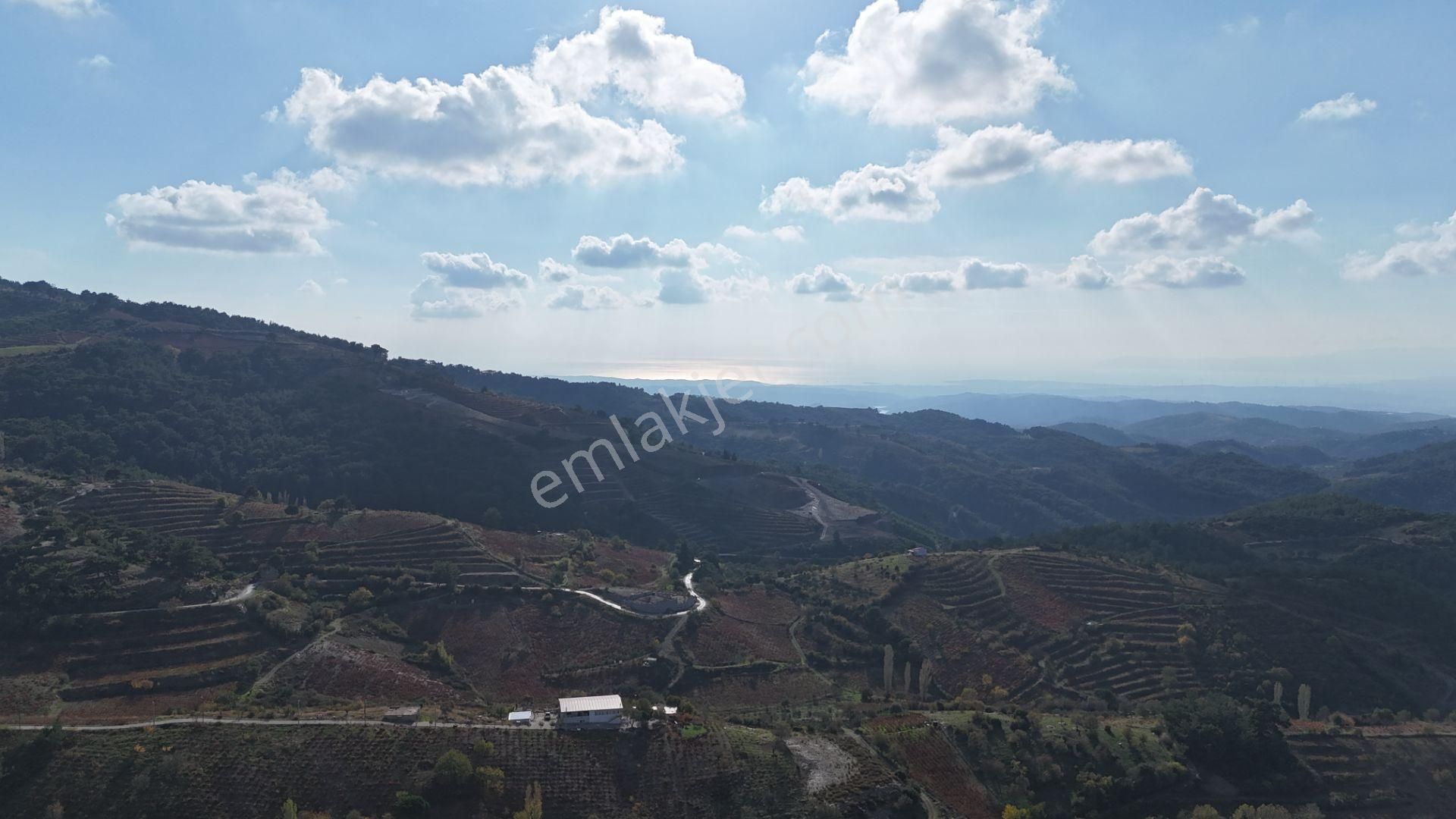 Deniz Manzaralı İzmir Menderes Efemçukurunda 1420 M2 Konut İmarlı - Görsel 22