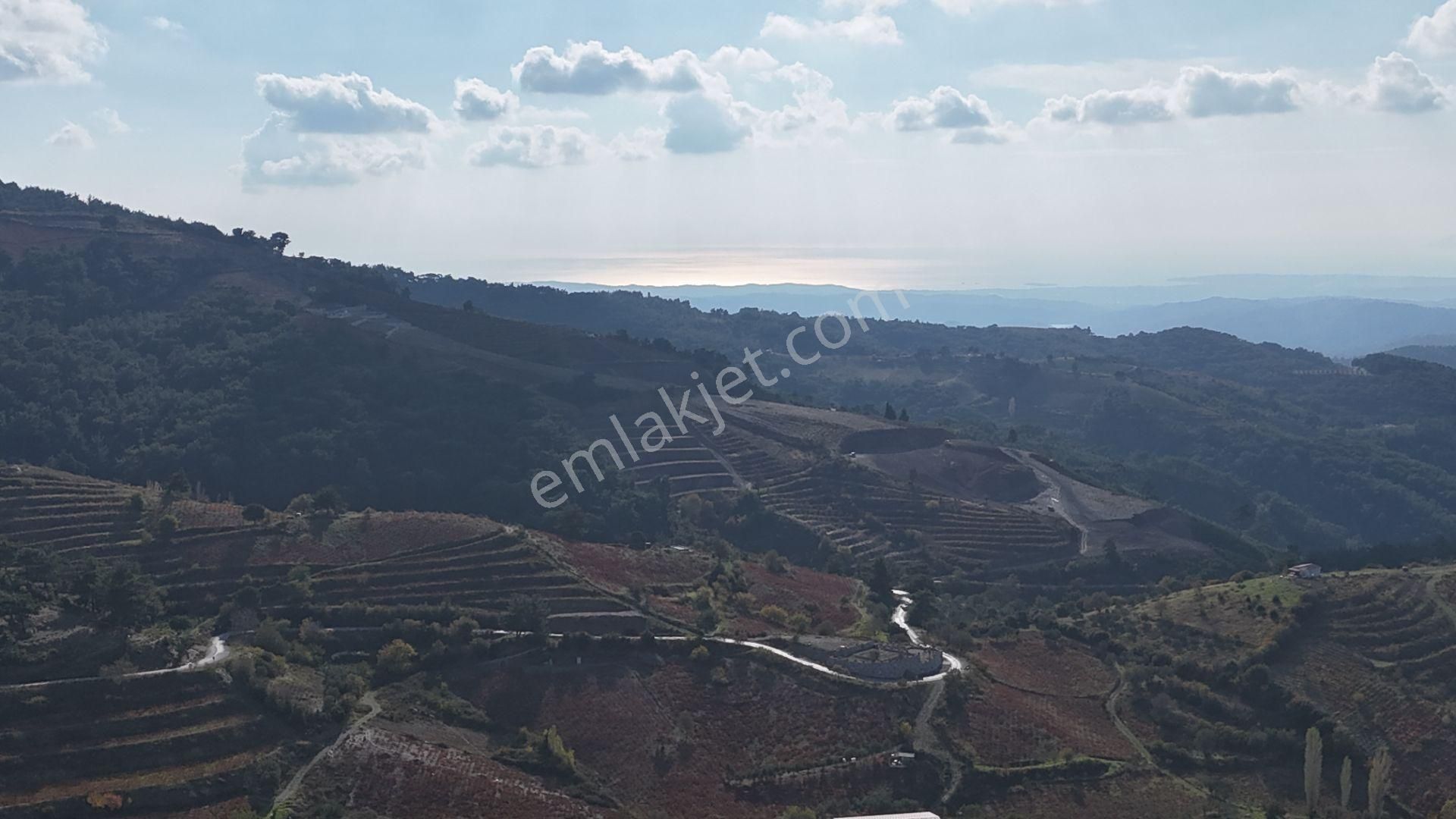 Deniz Manzaralı İzmir Menderes Efemçukurunda 1420 M2 Konut İmarlı - Görsel 33