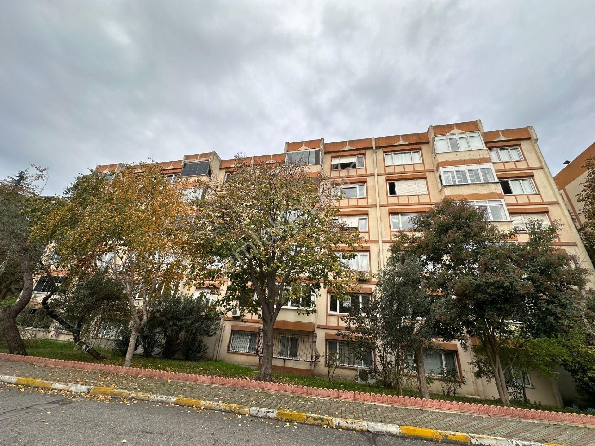 Beylikdüzü Yakuplu İhlas Marmara Evleri 1.kısımda Kiralık Daire 3+1 150 M2 Kısa Katlı Bloklarda - Görsel 3