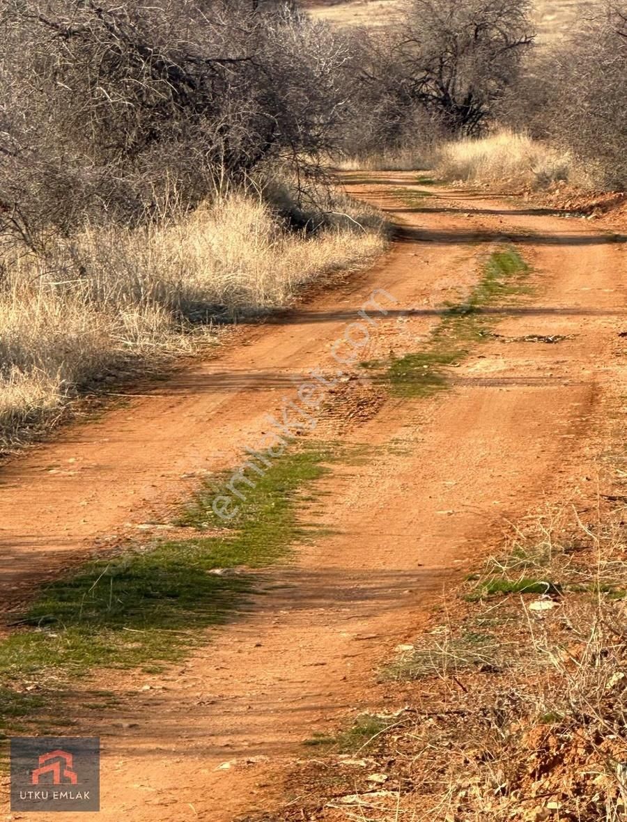Oguzeli Utku Emlak Danışmanlıgı