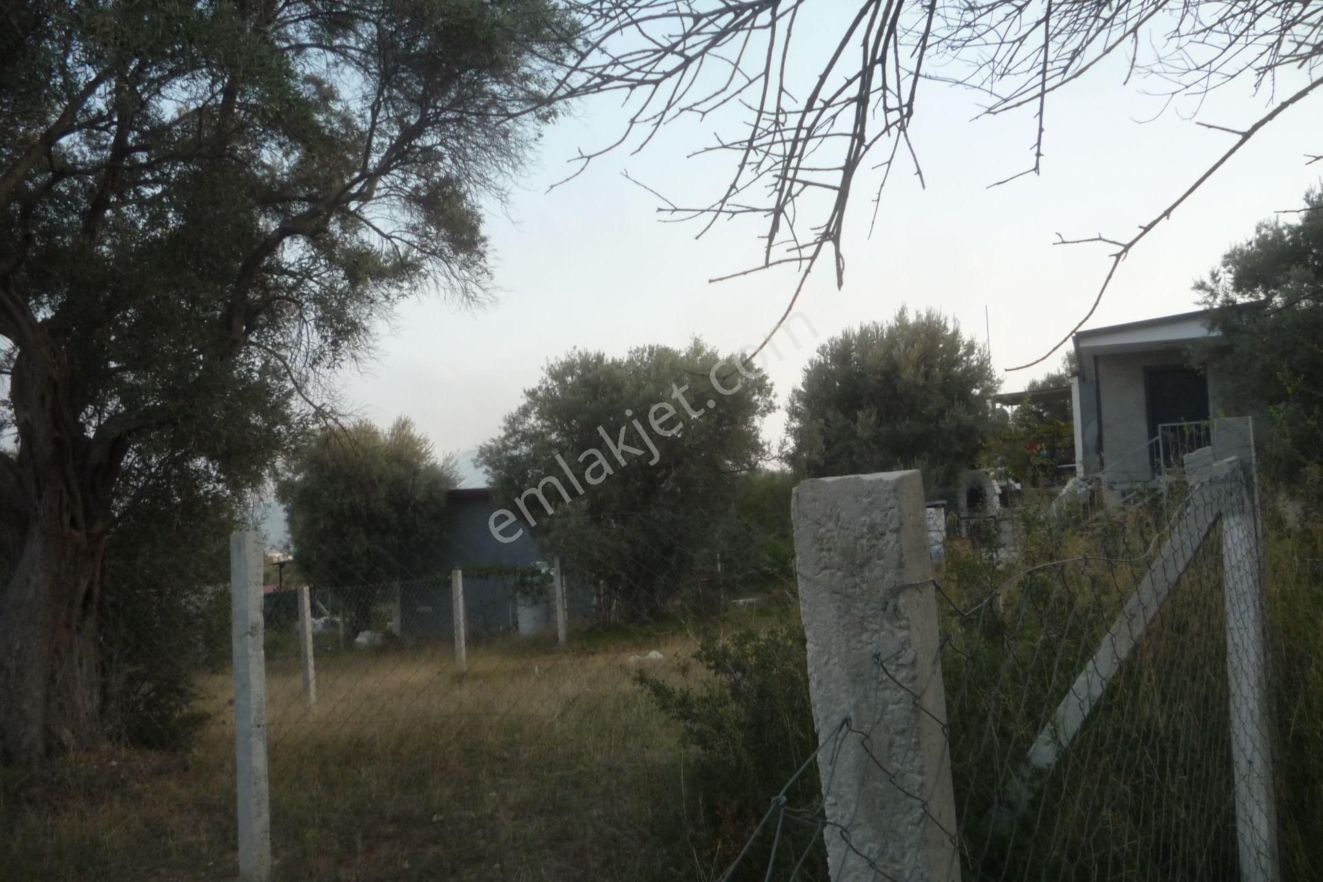 İzmir Torbalı Gold Emlaktan Satılık Bahçe - Görsel 8