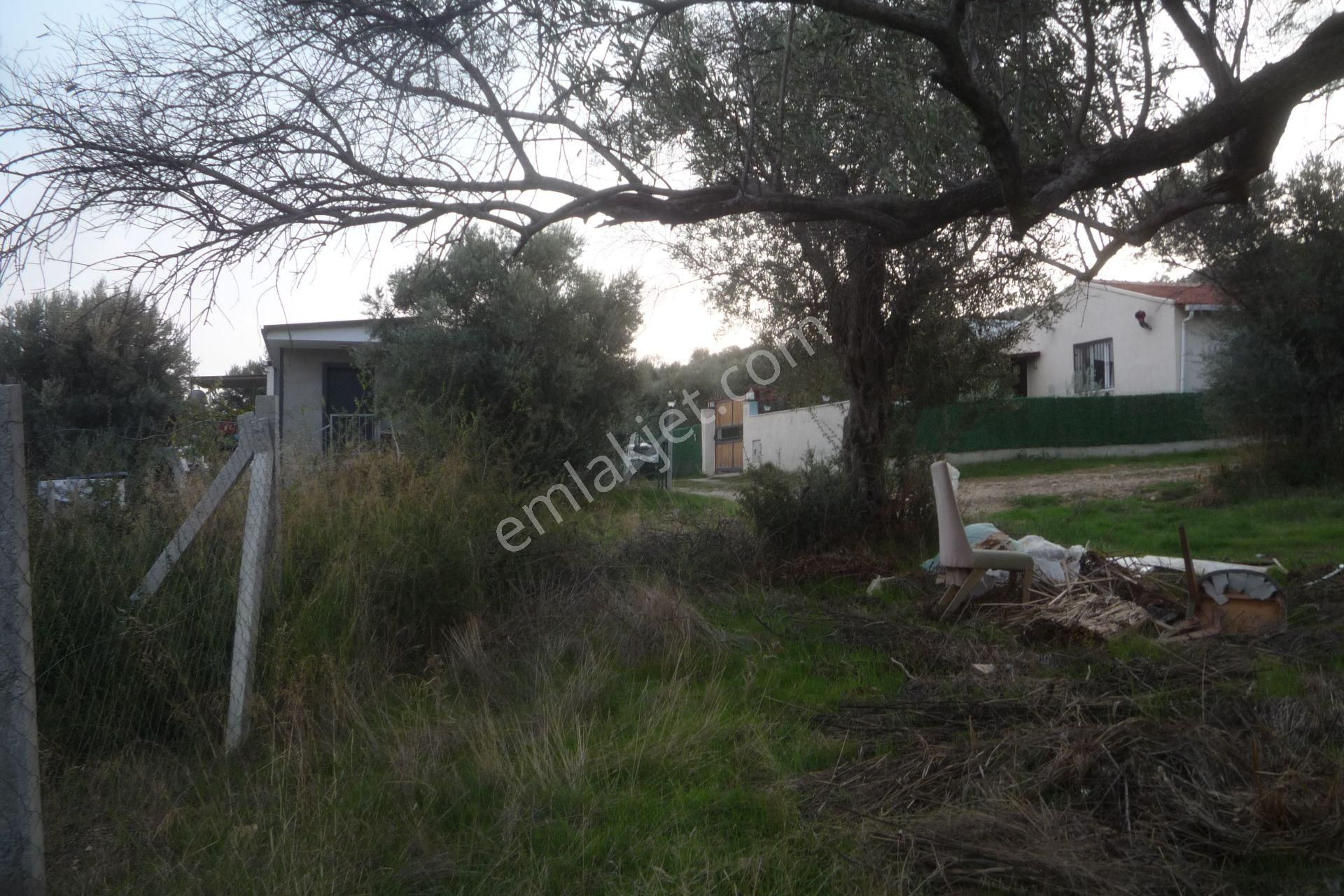 İzmir Torbalı Gold Emlaktan Satılık Bahçe - Görsel 5