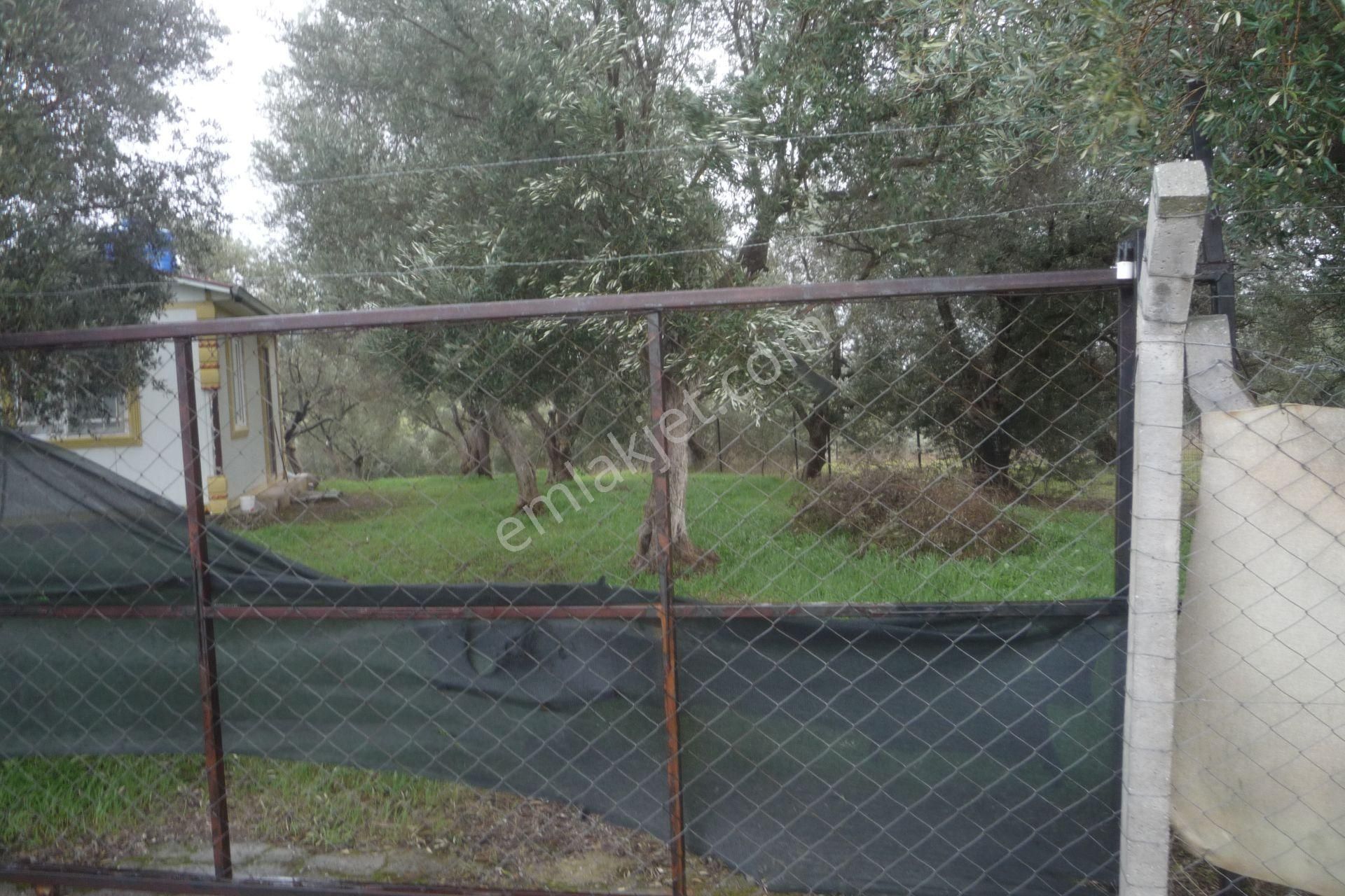 İzmir Torbalı Gold Emlaktan Satılık Harika Konteynerli Bahçe - Görsel 8