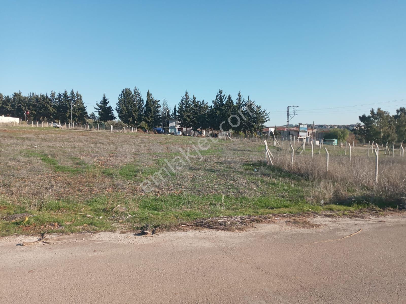 Satılık Hobi - Görsel 4