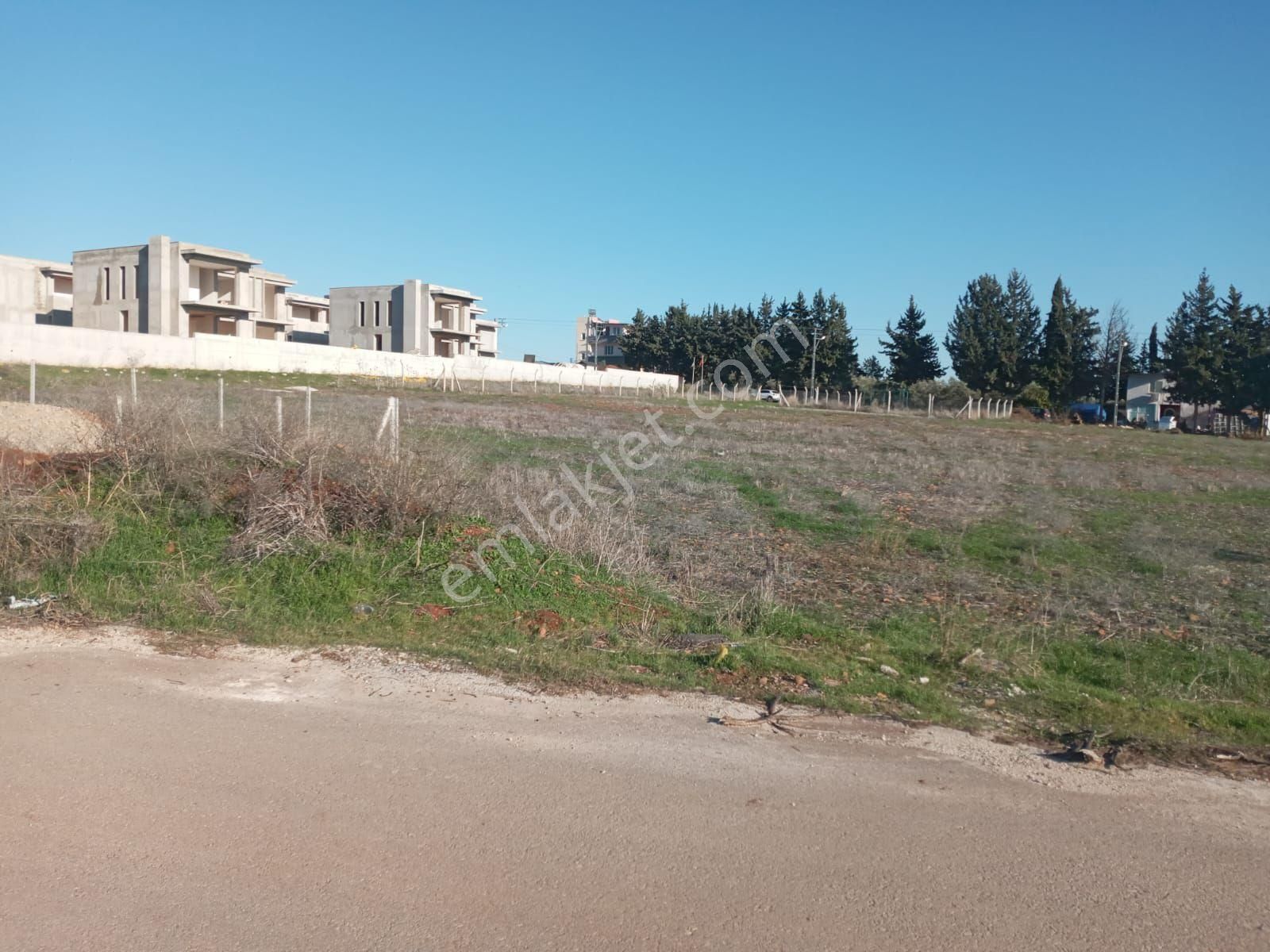 Satılık Hobi - Görsel 6