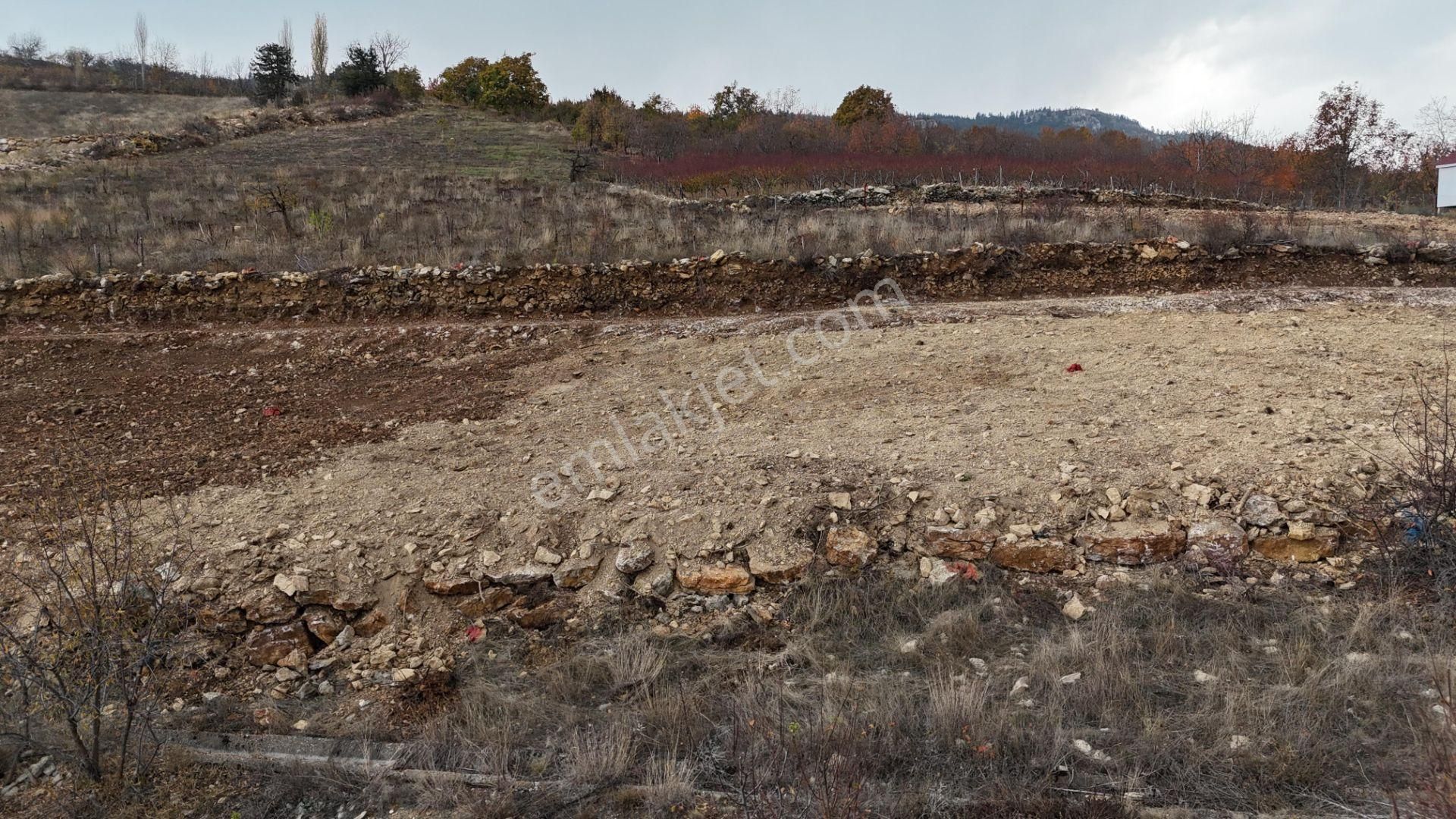 Bolkar Emlak'dan Mersin Toroslar Arslanköyde Satılık 312m² Arsalar - Görsel 9