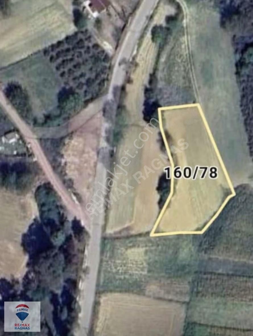 Kocaeli Kandıra Esentepe Nefsiyadeş Mh 1601 Fırsat Satılık Tarla